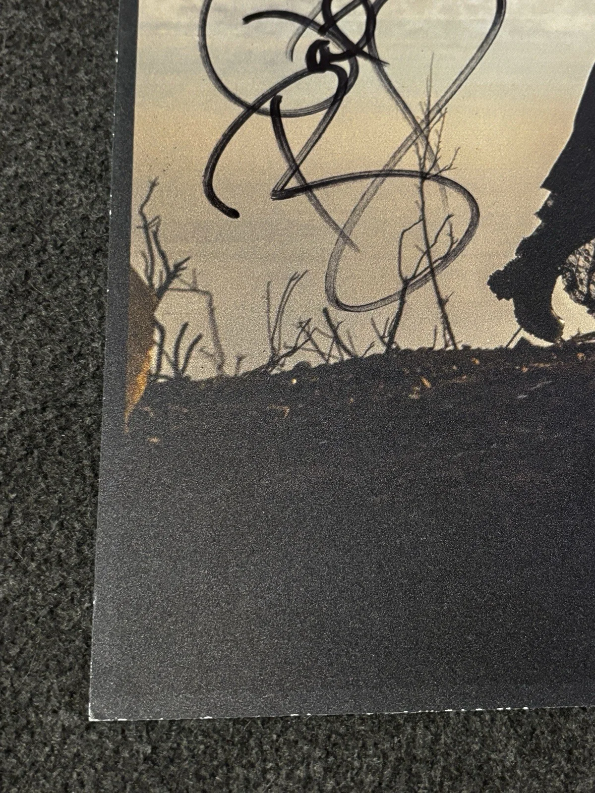 Pat Benatar, Neil Giraldo — Pat Benatar AUTOGRAPHED SIGNED rare LITHOGRAPH 2014 POSTER 35th Anniversary Tour, изображение 5