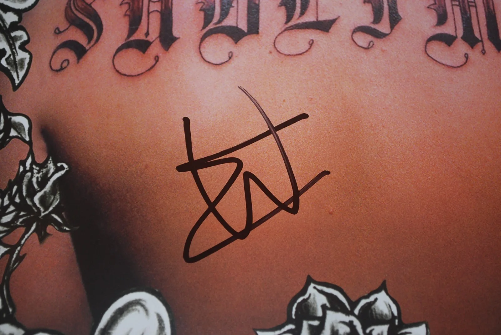 ERIC WILSON SIGNED SUBLIME SIGNED VINYL RECORD ALBUM LP BAS BV81447, image 2
