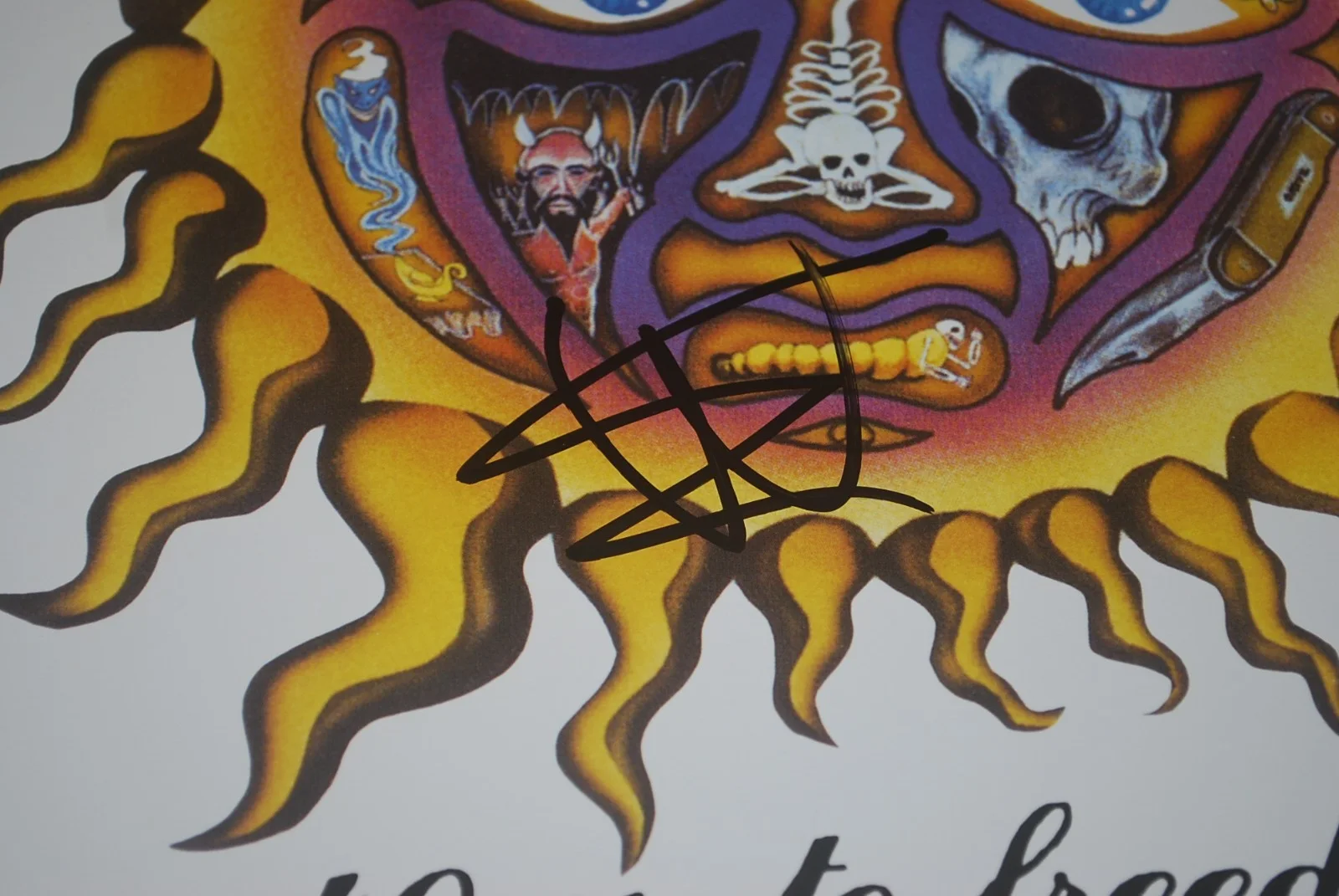 ERIC WILSON SIGNED SUBLIME 40OZ. TO FREEDOM VINYL RECORD ALBUM LP BAS BV81446, image 2