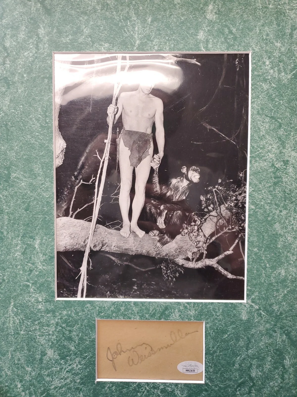 Johnny Weissmuller — Johnny Weissmuller Sheffield Autographed 8x10 Picture Tarzan JSA COA