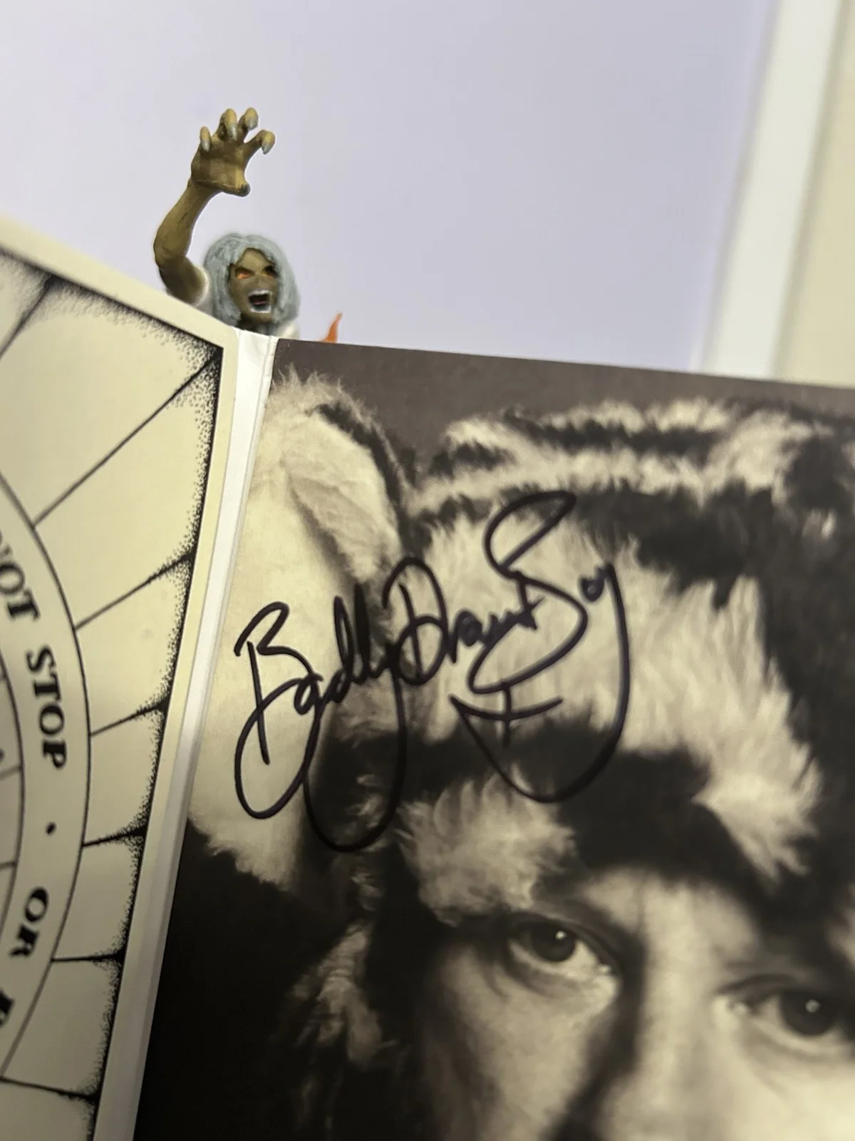 Signed Badly Drawn Boy CD, Banana Skin Shoes, Autographed Gatefold, image 2