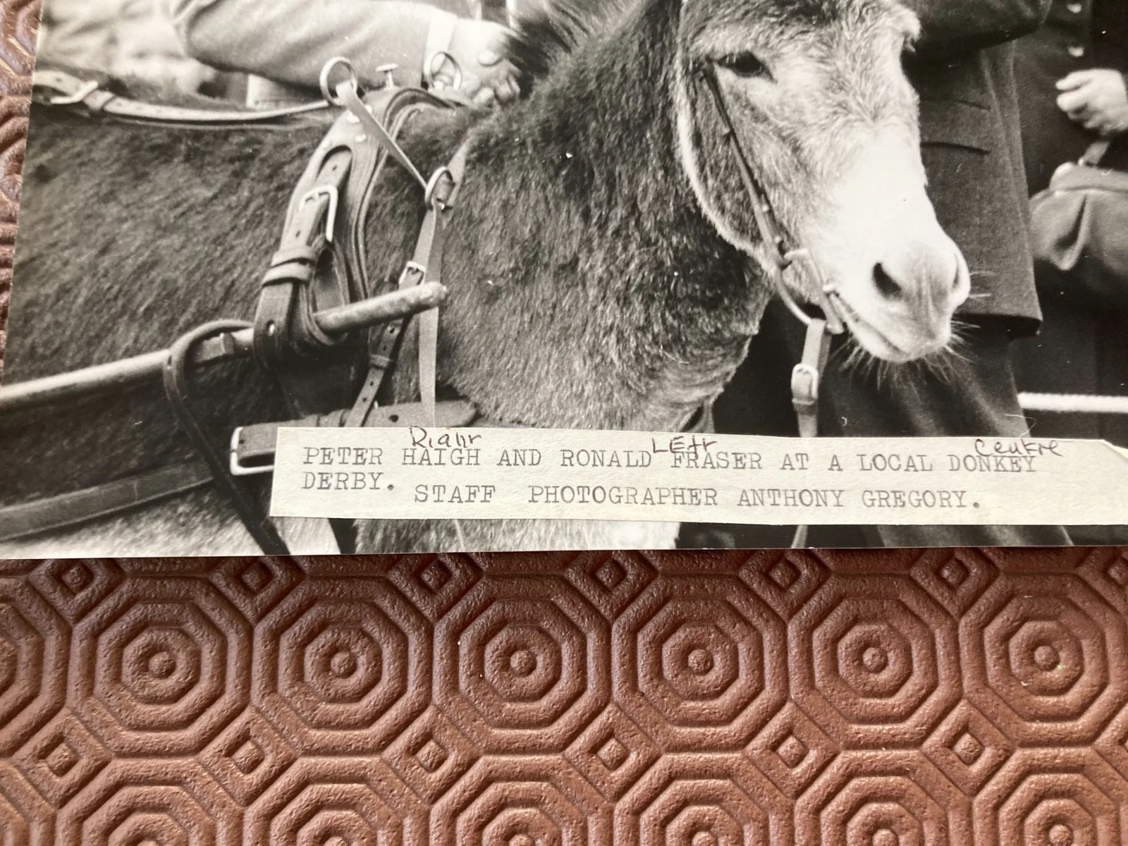 PETER HAIGH RONALD FRASER AT DONKEY DERBY ST ALBANS AREA PHOTOGRAPH 26/22 CM, image 5