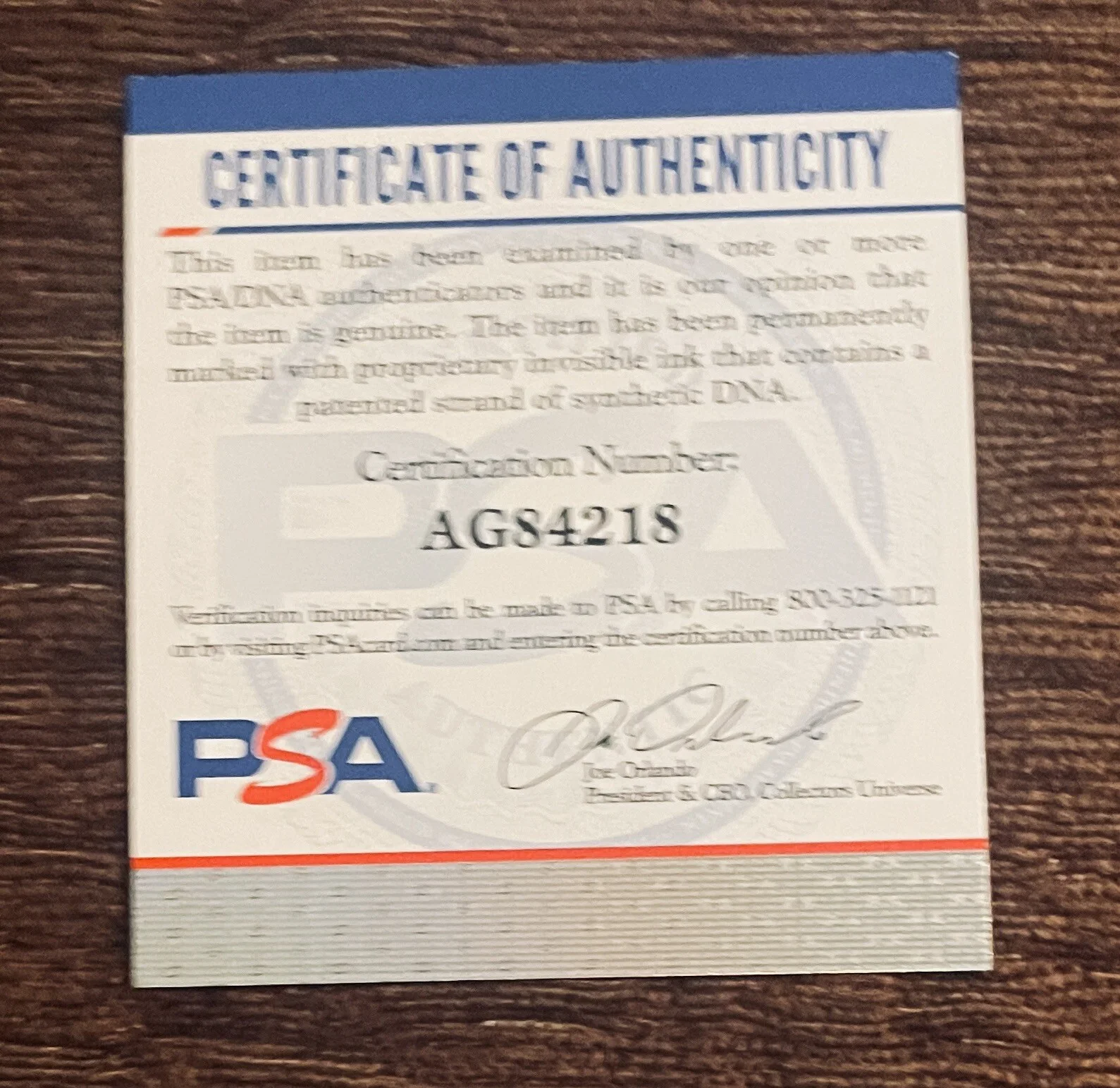 Chrissy Teigen — CHRISSY TEIGEN IN PERSON SIGNED 8X10 COLOR PHOTO PSA/DNA COA, image 3