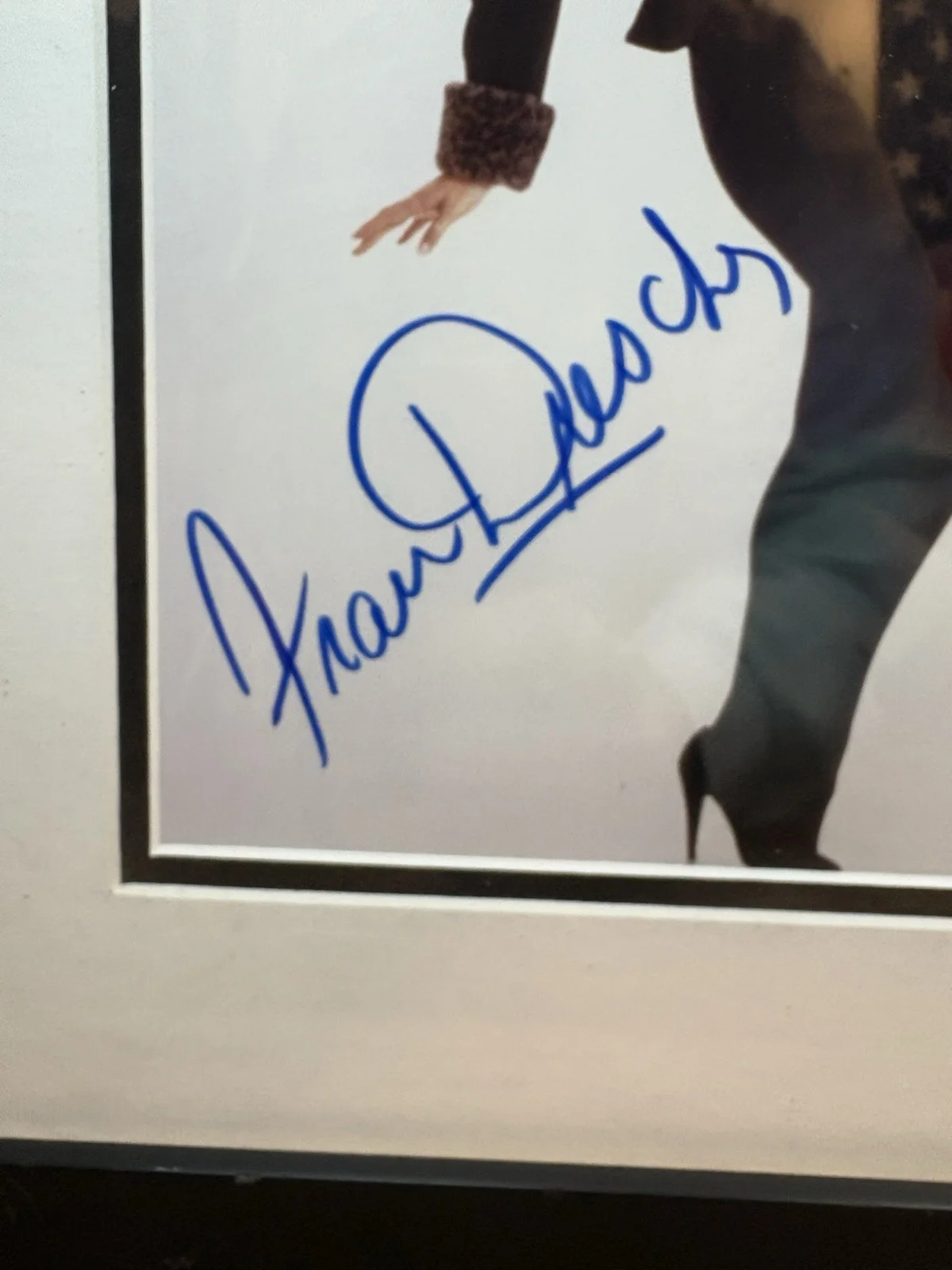 Fran Drescher — Francine Fran Drescher Signed Matted Framed The Nanny 8X10 Photo Greg Tucker COA, изображение 5