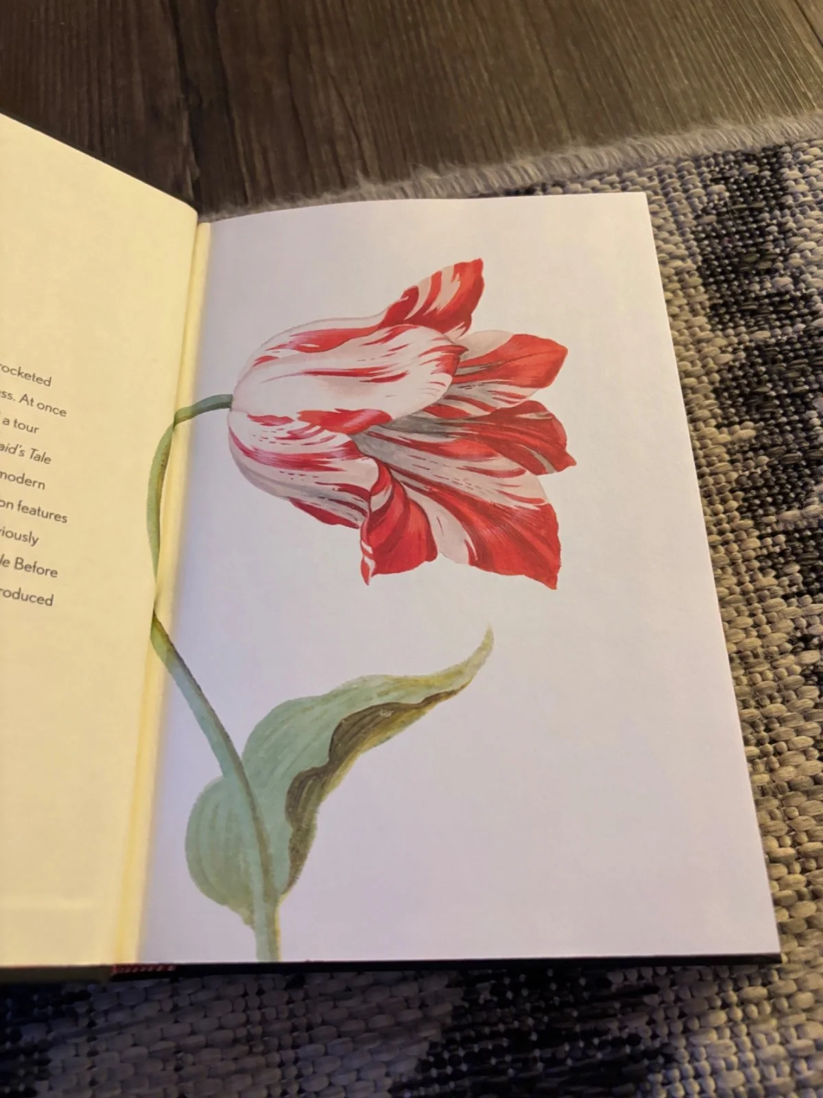 THE HANDMAIDS TALE SIGNED AUTOGRAPHED 40TH ANNIVERSARY SWIRL MARGARET ATWOOD (2), изображение 3