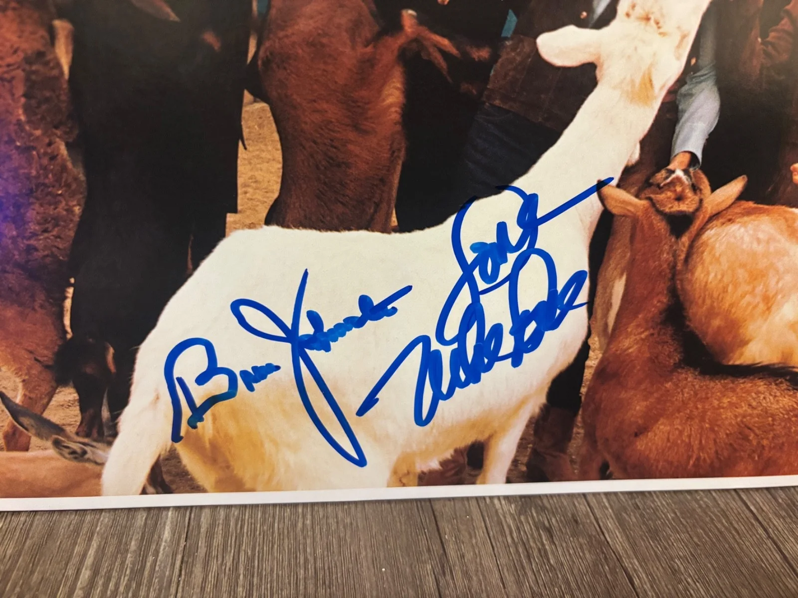 THE BEACH BOYS SIGNED AUTOGRAPHED LP VINYL RARE MIKE LOVE BRUCE JOHNSTON 2, image 2