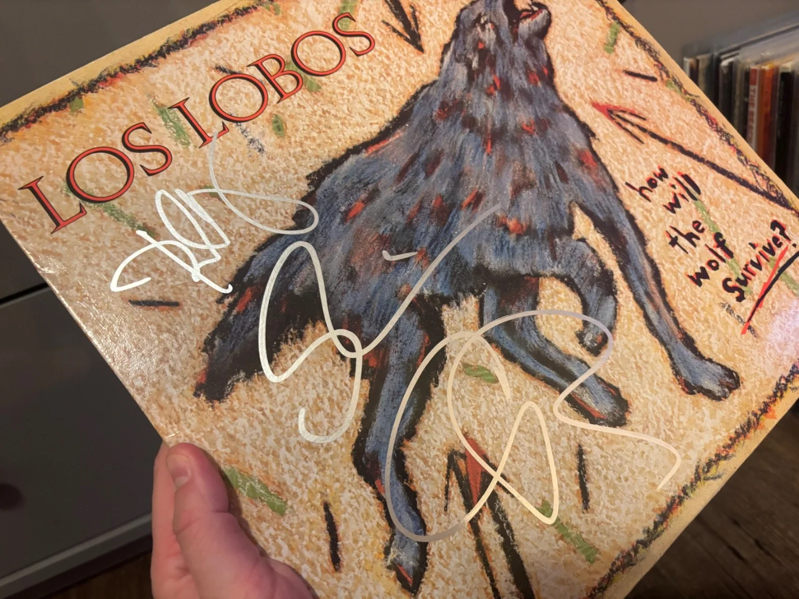 LOS LOBOS SIGNED AUTOGRAPHED LP VINYL X3 CESAR RAMOS IN PERSON (2), изображение 2