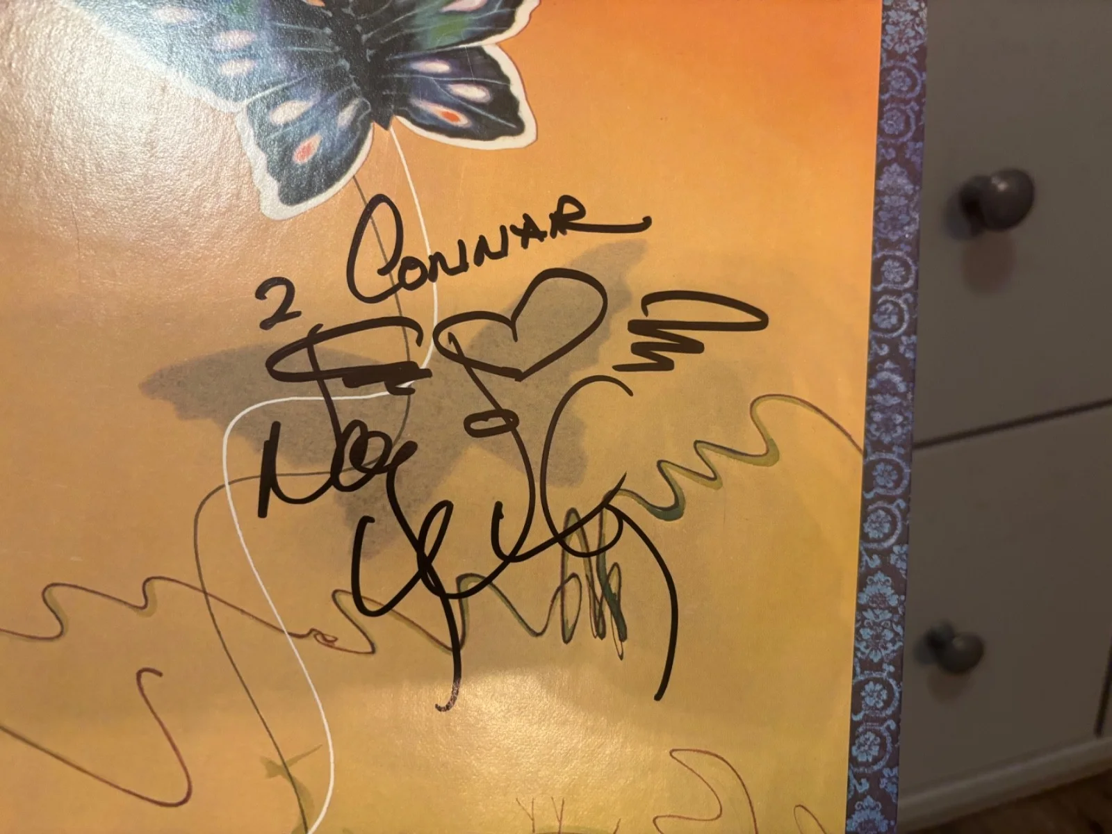 HEART SIGNED AUTOGRAPHED LP VINYL ANN & NANCY WILSON RARE DOG & BUTTERFLY, изображение 3