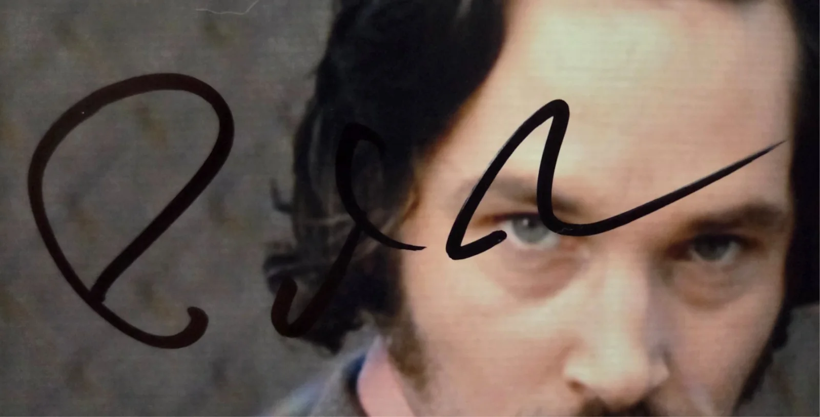 Paul Rudd Hand Signed Autograph 8x10 Photo In Person Anchorman Ant Man Actor, изображение 2