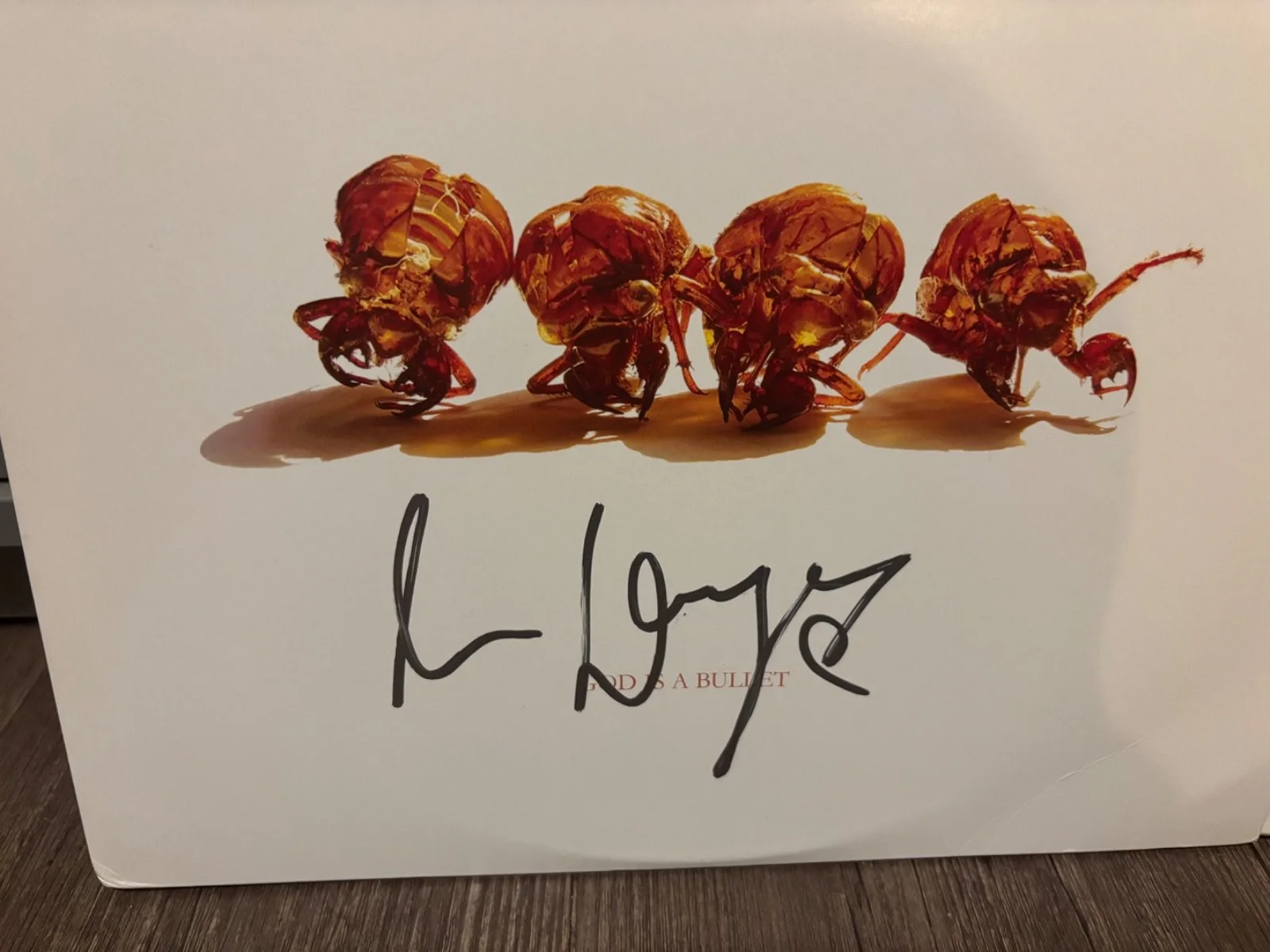 THE MISSION SIGNED AUTOGRAPHED LP VINYL WHITE RARE WAYNE HUSSEY GOD IS A BULLET, image 2