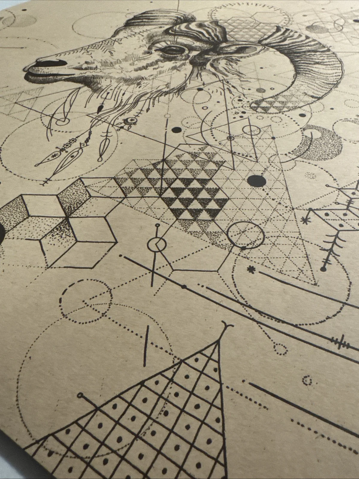 STS9 18x24 Poster Fall 2012 Conscious Alliance Official Merch Sound Tribe Sector, изображение 4