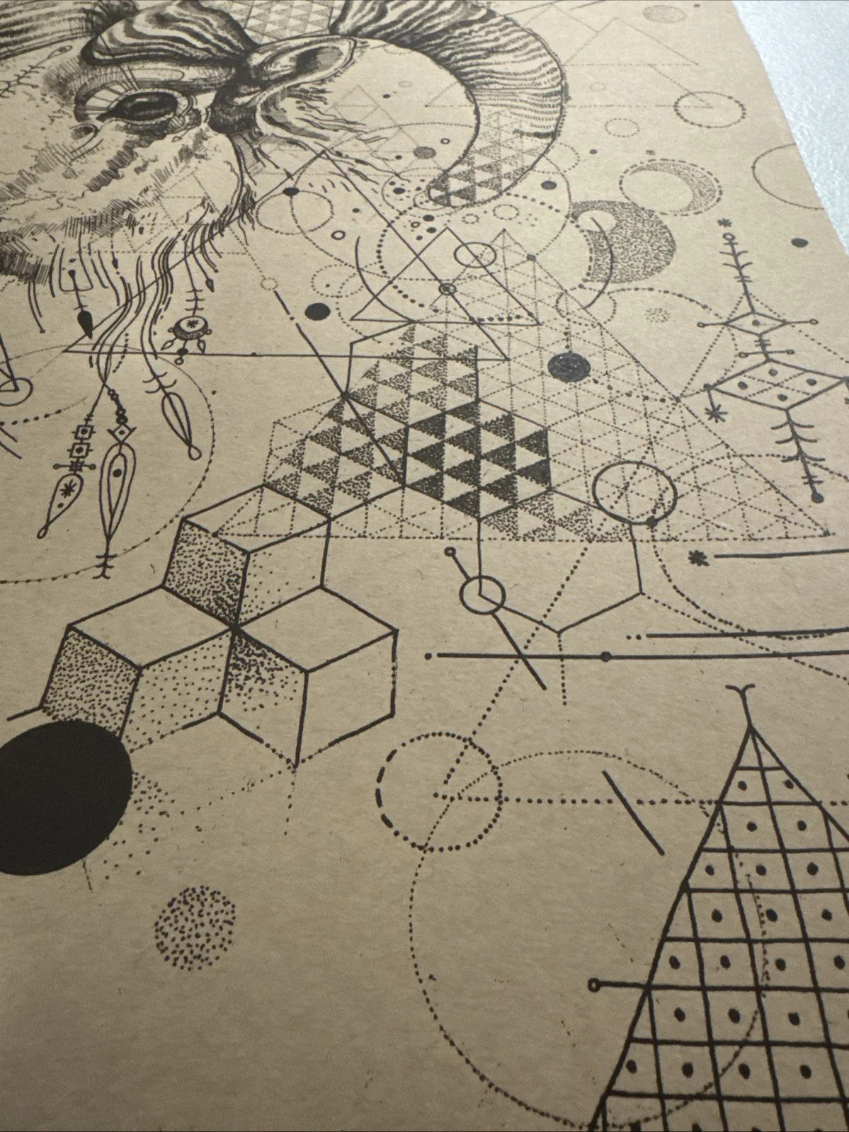 STS9 18x24 Poster Fall 2012 Conscious Alliance Official Merch Sound Tribe Sector, изображение 5