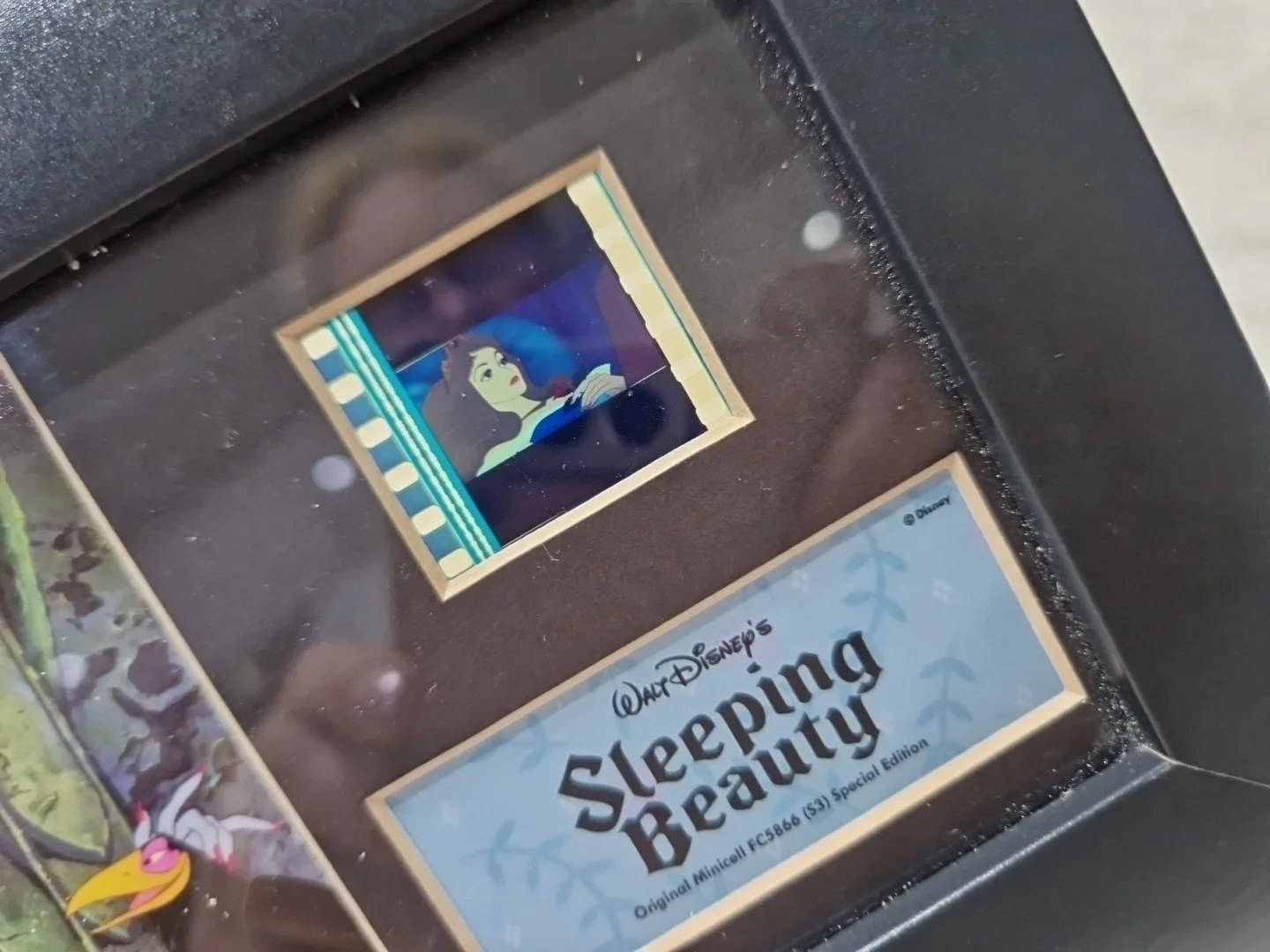 Sleeping Beauty - framed Cell Collectable With Certificate Of Auth, image 4