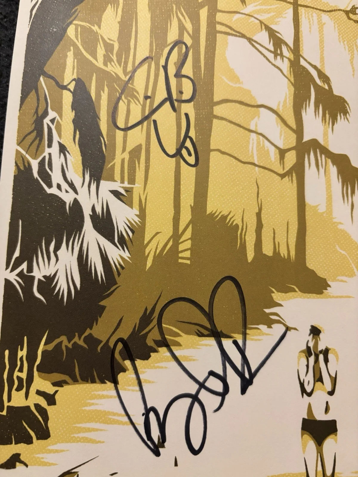Band Of Horses SIGNED AUTOGRAPHED POSTER 2016 Why Are You OK Album Promo NEW, изображение 2