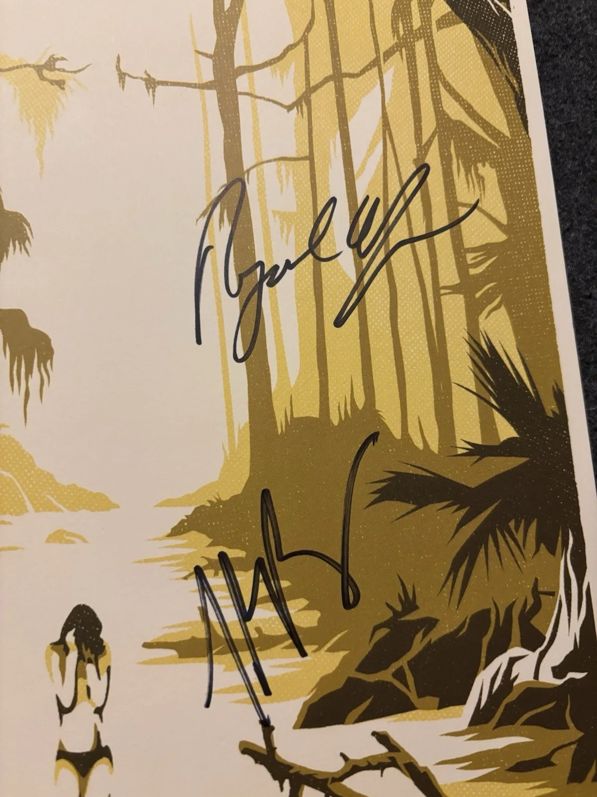 Band Of Horses SIGNED AUTOGRAPHED POSTER 2016 Why Are You OK Album Promo NEW, изображение 3