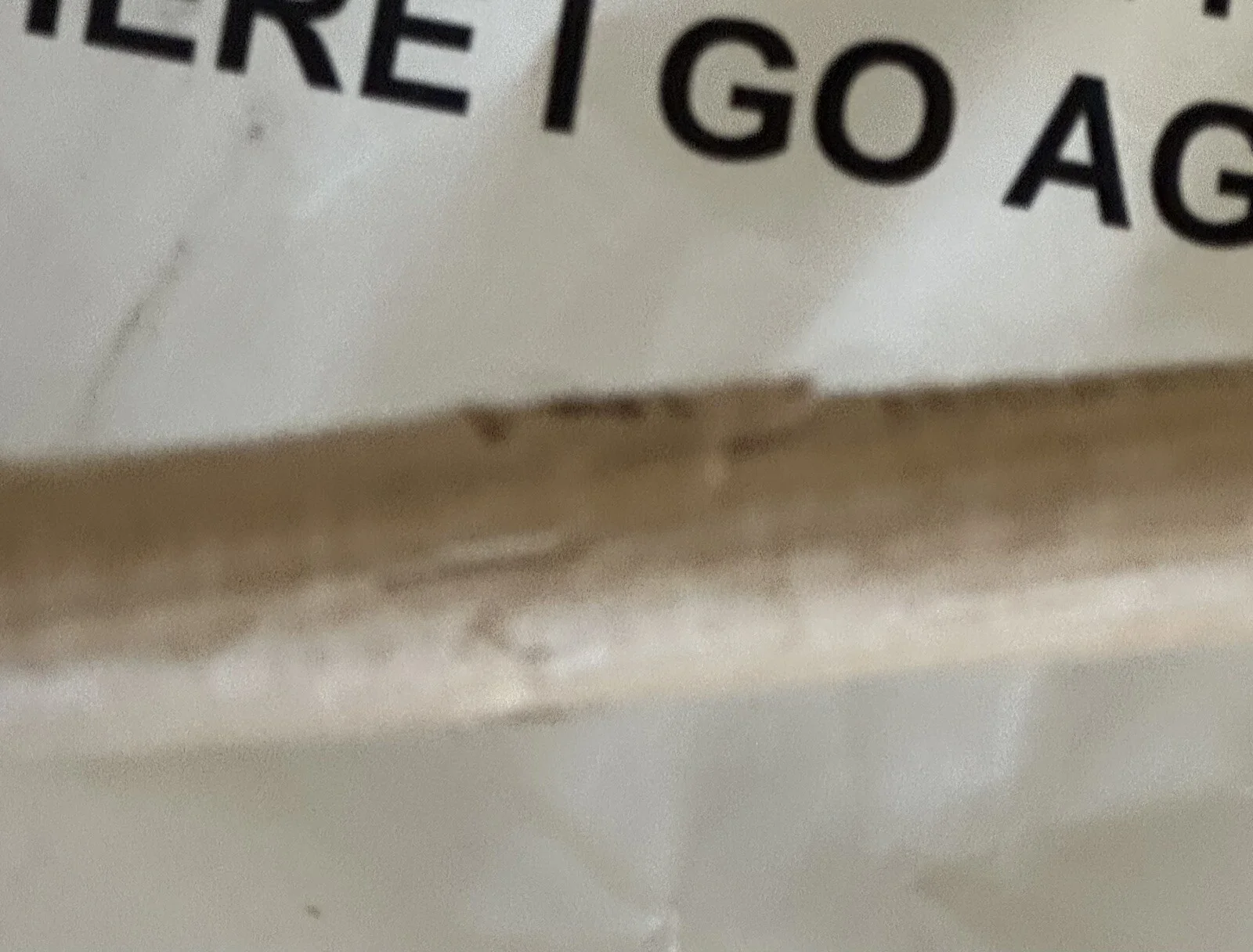 Authentic Vandenberg 3/19/24 Live Concert Playlist & Drummer's Broken Drumstick, изображение 3