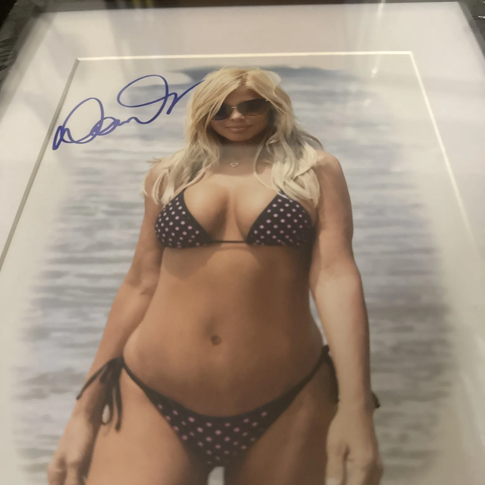 Donna D’Errico (Sexy) 8x10 Matted Autographed photo Beckett AC04658, изображение 2