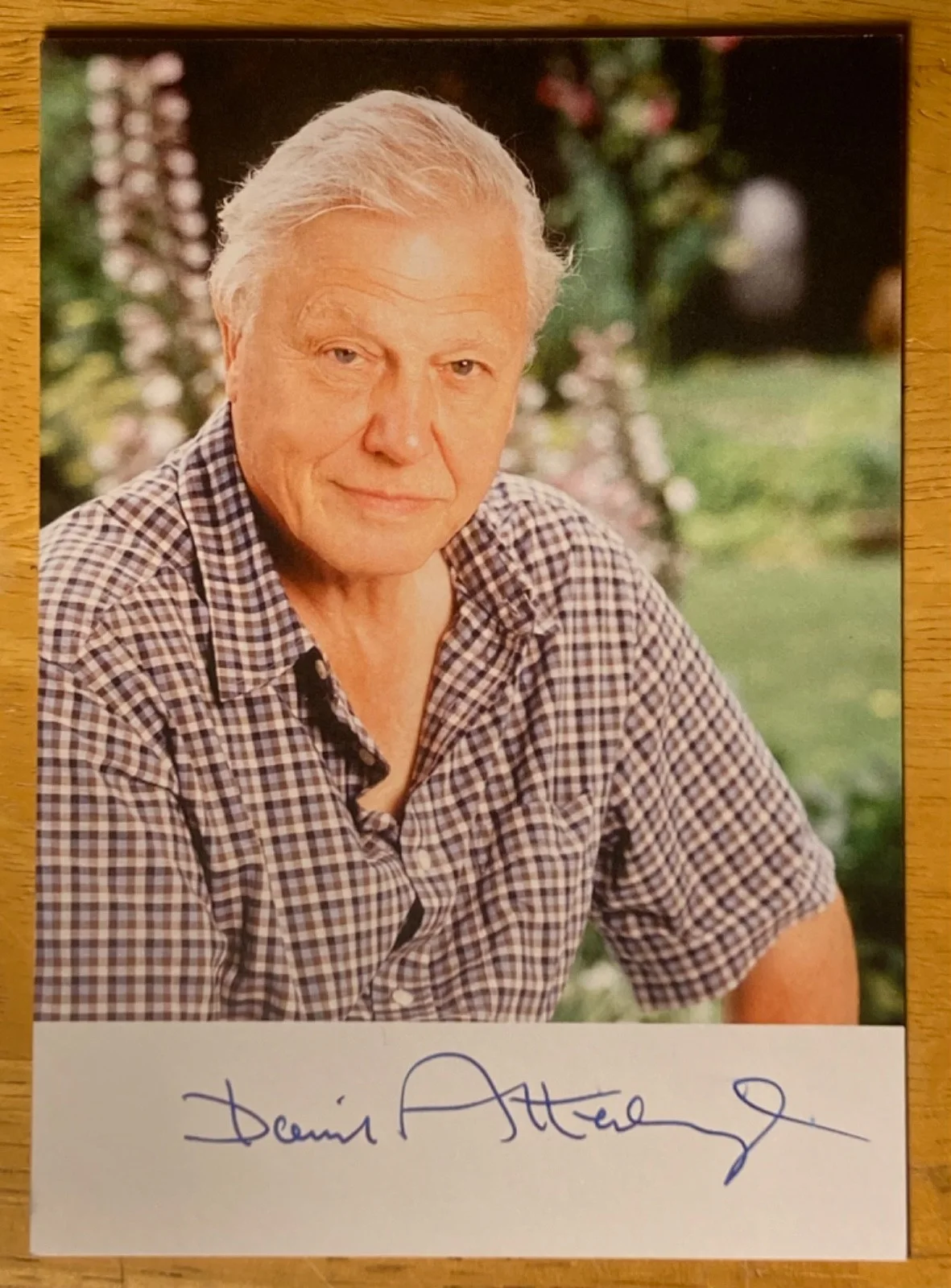 Hand SIGNED David Attenborough ~4x6 Photo - Naturalist - BBC Planet Earth etc, изображение 2