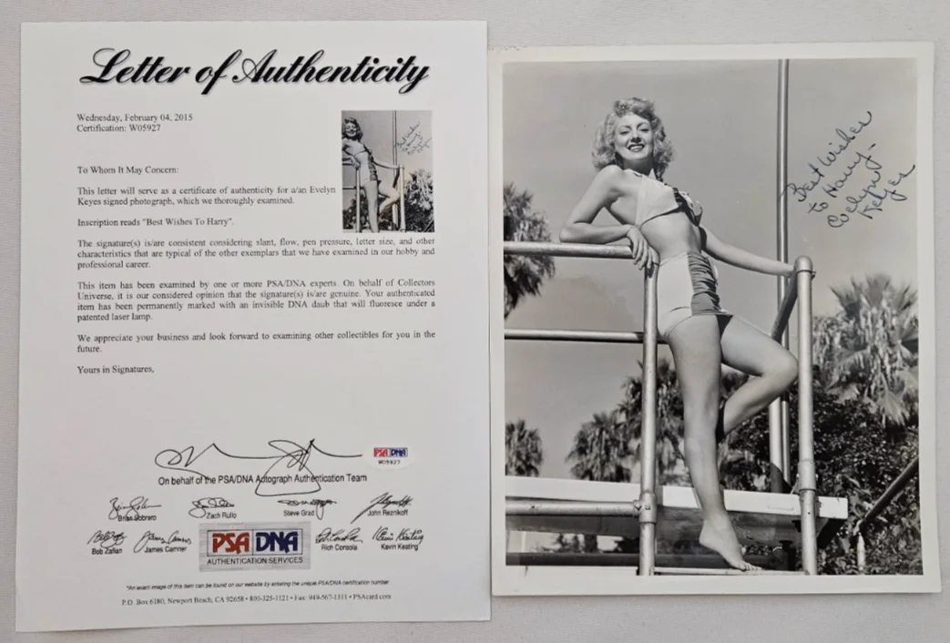 Evelyn Keyes — Evelyn Keyes Signed 8x10 Photo w/ PSA/DNA LoA, Actress, Gone with the Wind