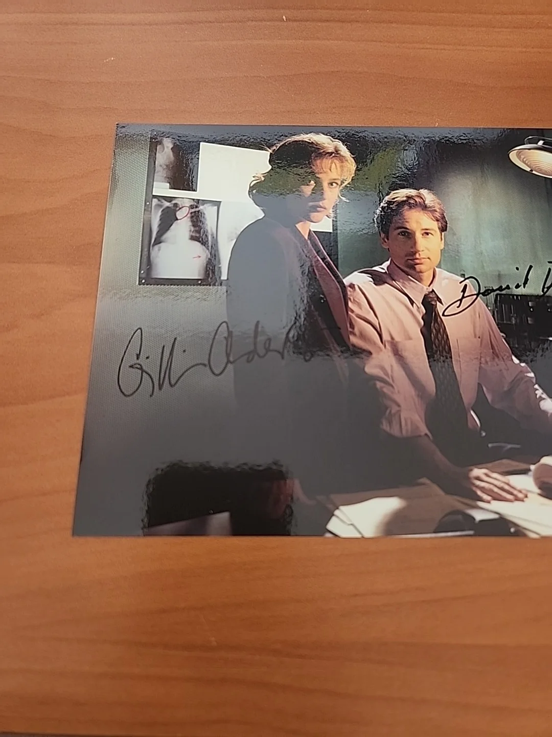 David Duchovny Gillian Anderson Autographed Photo Front And Back X-Files 7x5, image 5