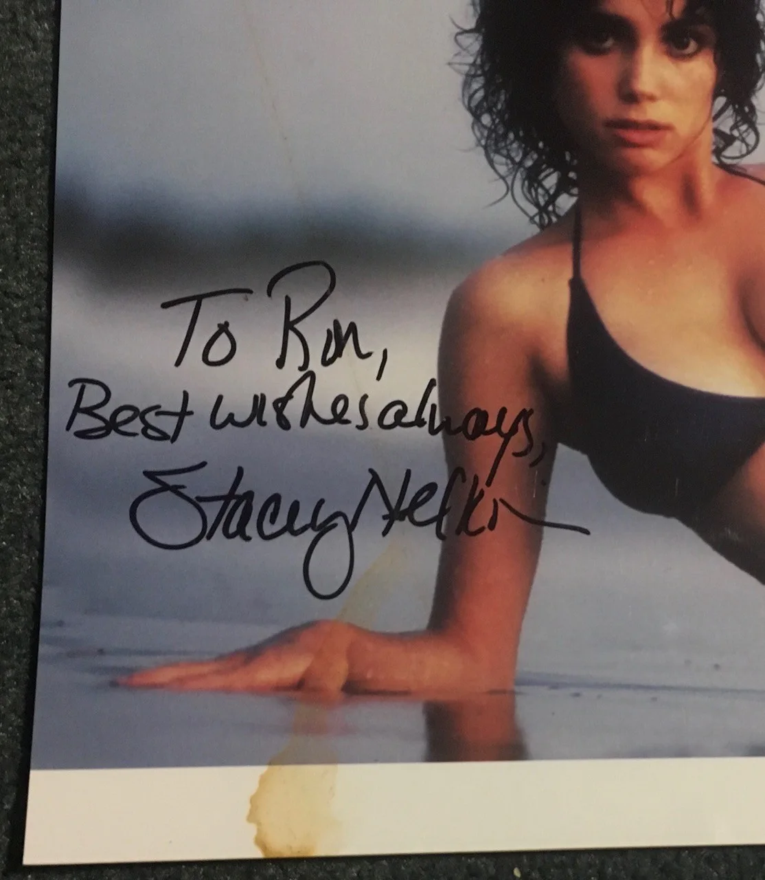 Stacey Nelkin — SUPER SEXY STACEY NELKIN in BIKINI!! 8x10 AUTOGRAPHED photo! HALLOWEEN 3 HORROR!, изображение 2