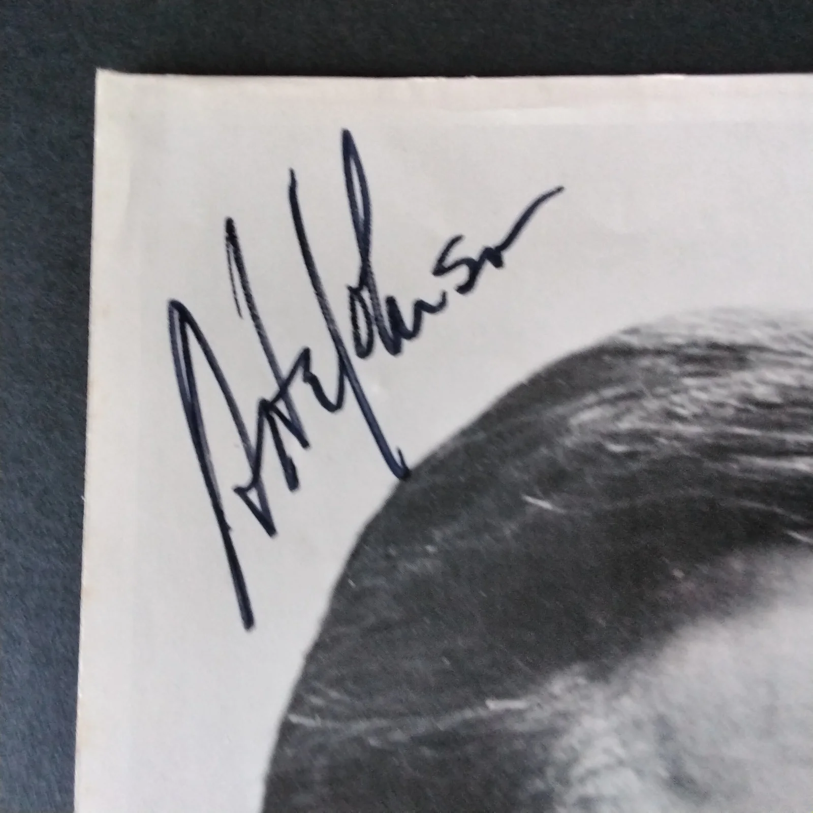 Arte Johnson SIGNED Book Photo TV Film Actor Laugh-In Cartoons Love at 1st Bite, изображение 4