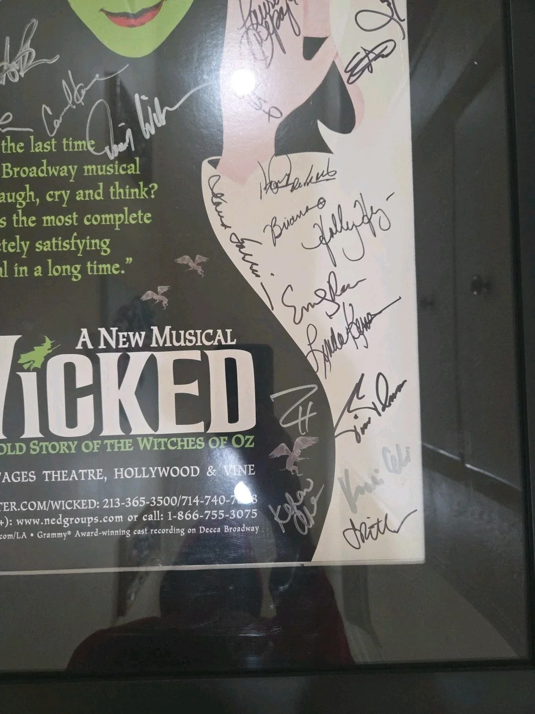 Wicked Los Angeles Pantages Cast Signed Poster - Framed - Megan Hilty & Eden..., изображение 3