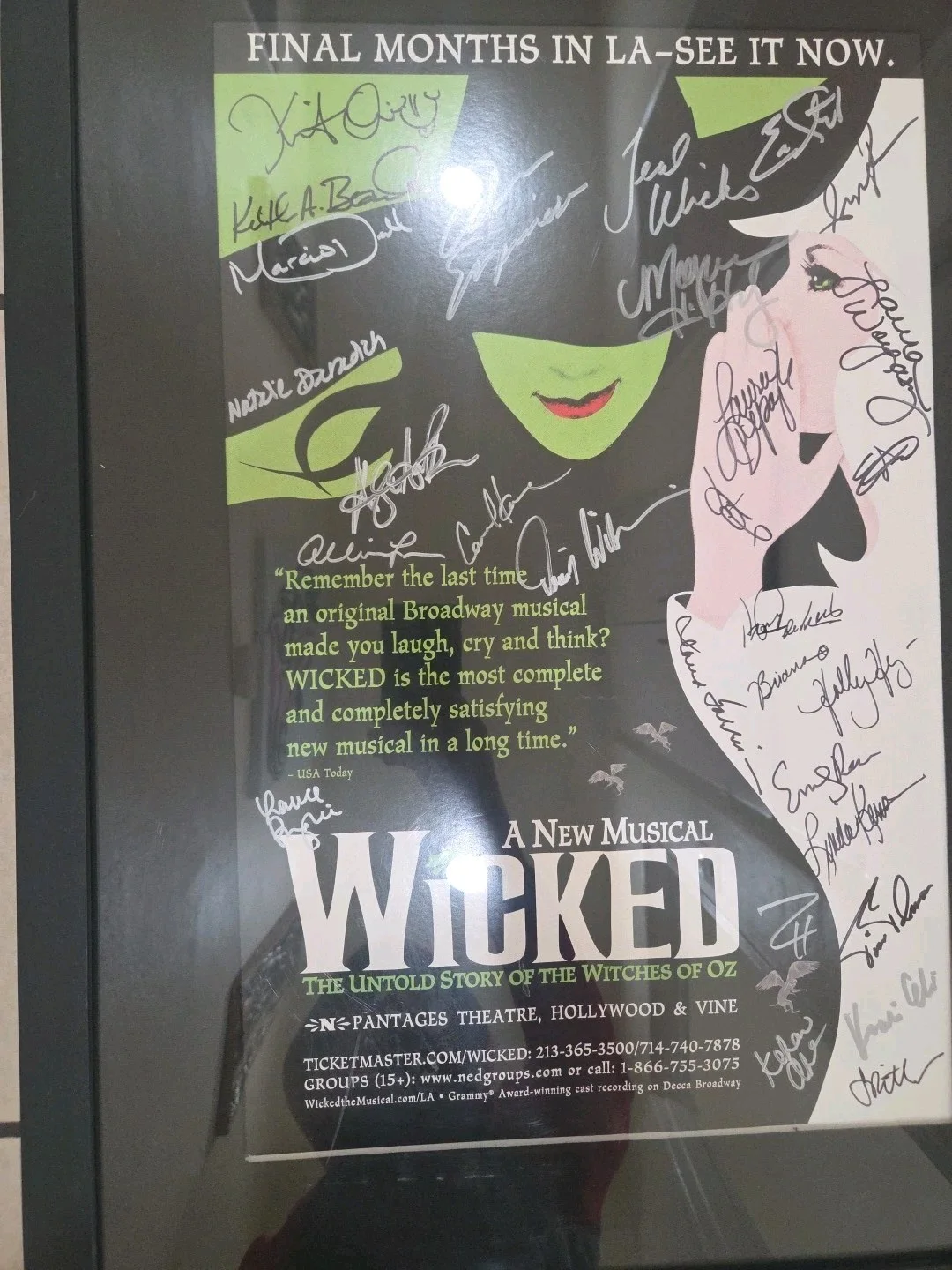 Wicked Los Angeles Pantages Cast Signed Poster - Framed - Megan Hilty & Eden..., изображение 5