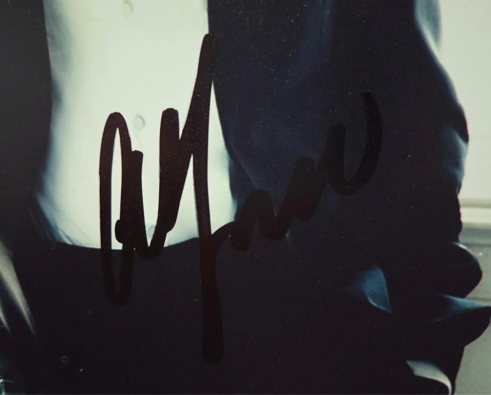 Alfonso Cuaron Hand Signed Autograph 8x10 Photo In Person Director Harry Potter, изображение 2