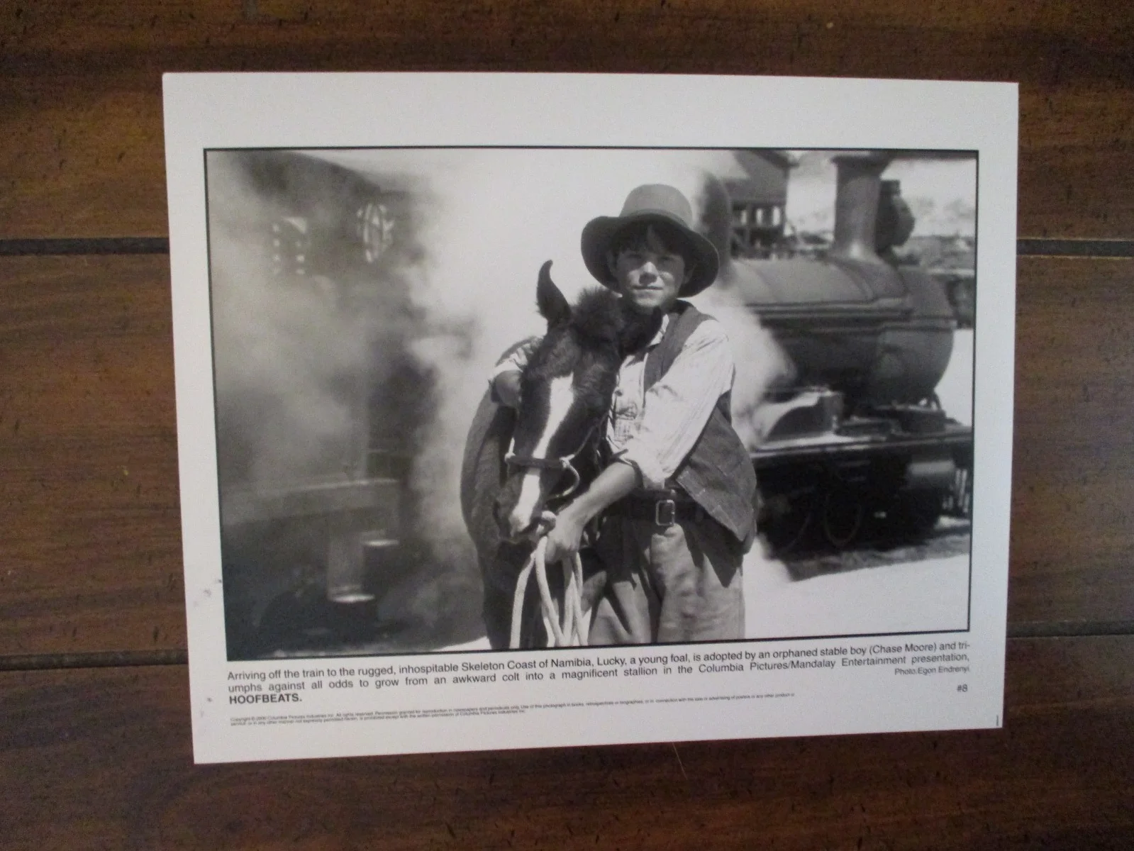 ("HOOFBEATS")Chase Moore("RUNNING FREE)2000 10 x 8 Black and White Press Photo, image 2