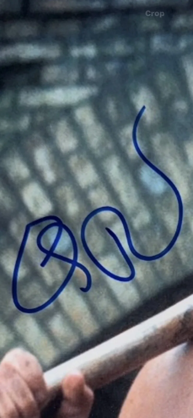 Eli Roth — Eli Roth Signed Autograph 11 X 14 Inglorious Bastards in person JSA certified￼, image 2