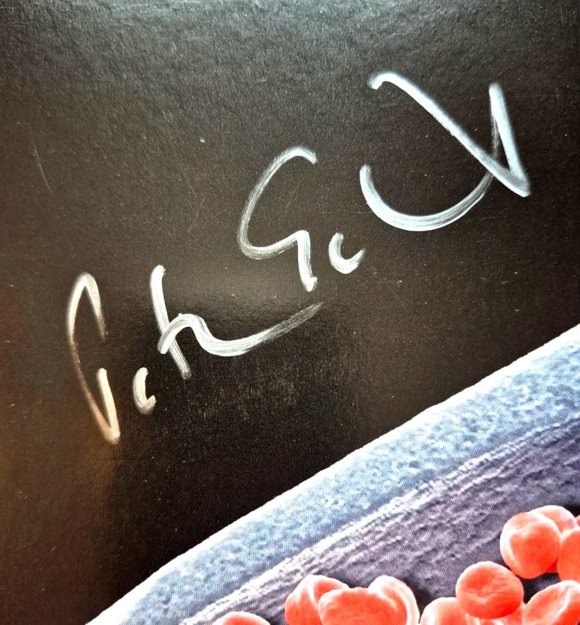 PETER GABRIEL SIGNED AUTOGRAPHED LIVE BLOOD ALBUM GENESIS SLEDGEHAMMER PSA COA, изображение 2