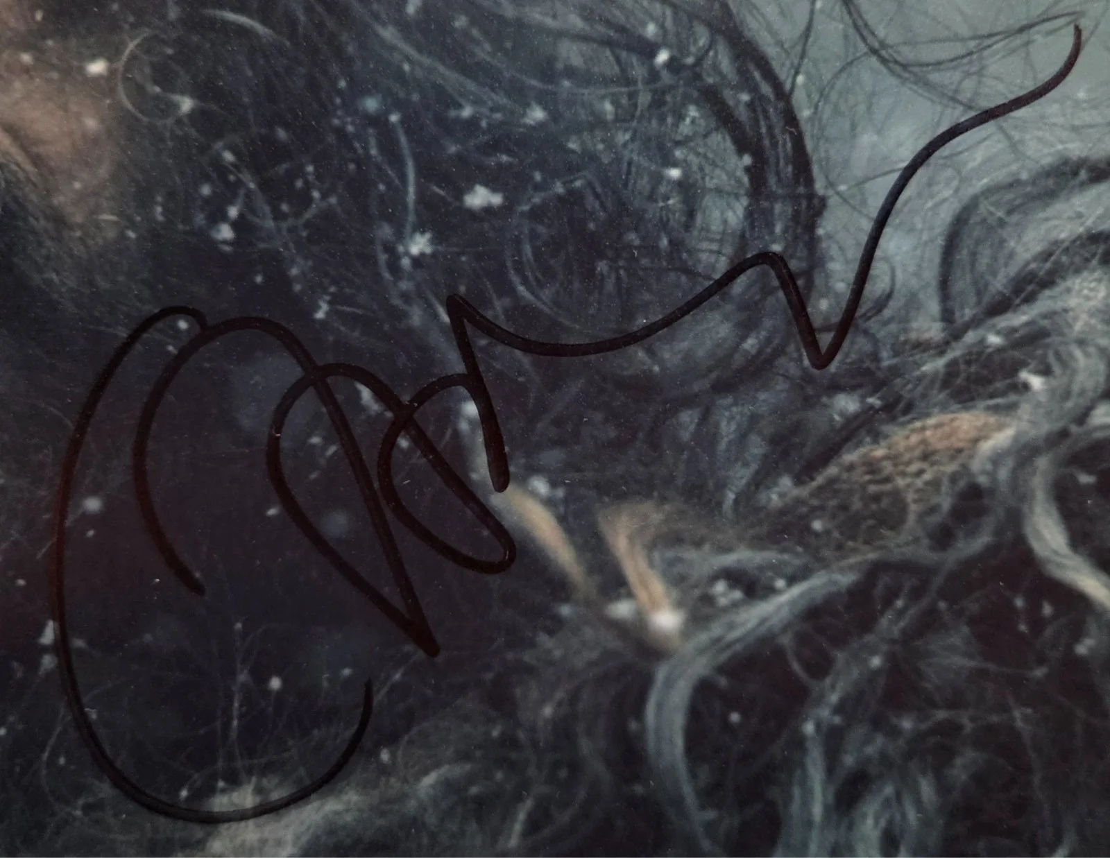Claes Bang Hand Signed Autograph 8x10 Photo In Person Proof Northman Actor, изображение 2