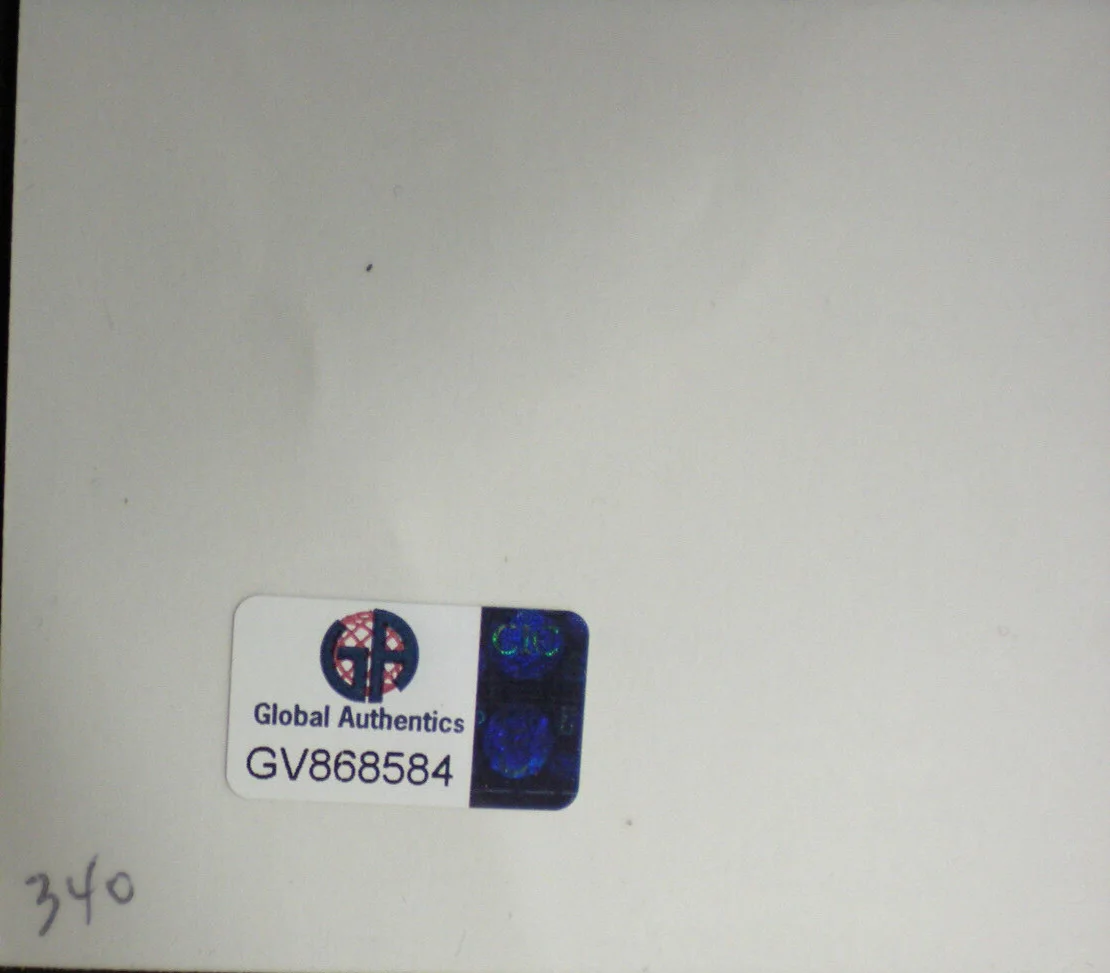 LEIGH HAMILTON — SIGNED PHOTO LEIGH HAMILTON DECEASED FORCED VENGEANCE WITH CHUCK NORRIS- CERT GA, image 3