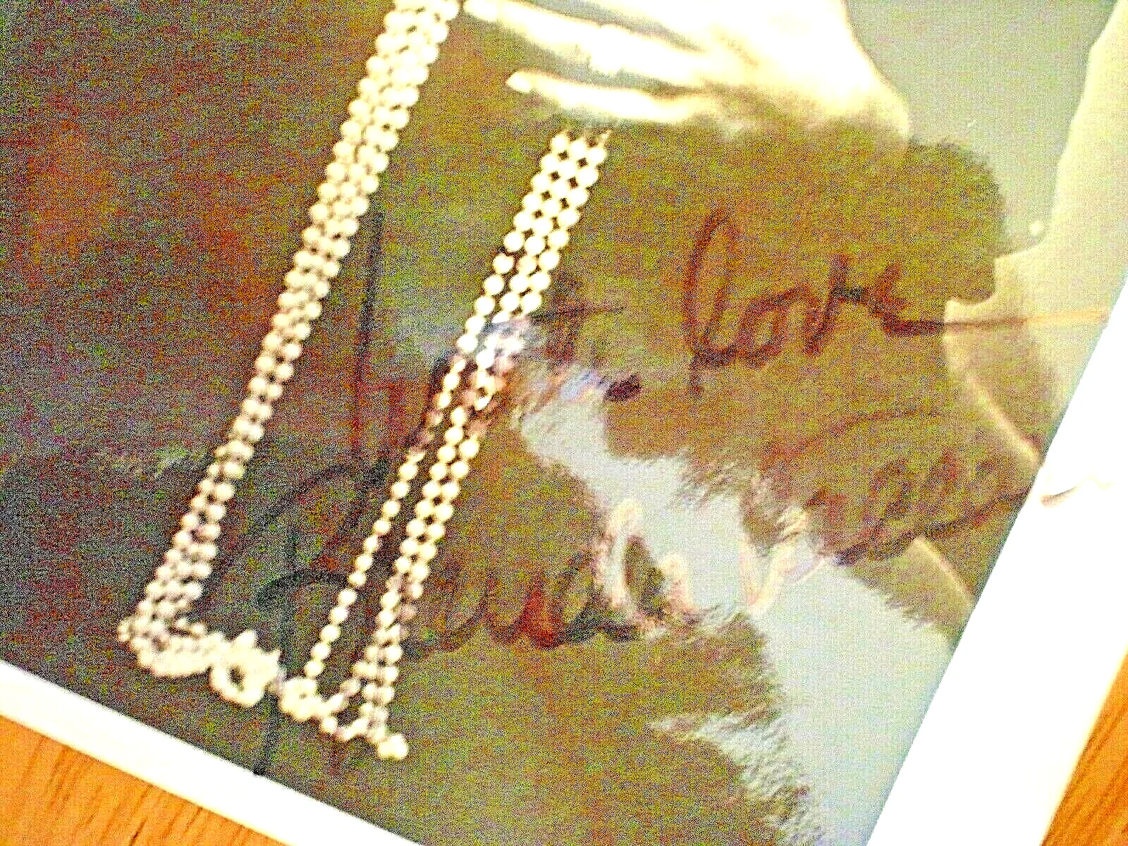BRENDA VACARRO — SIGNED PHOTO BRENDA VACCARO STARRED IN MIDNIGHT COWBOY, изображение 4