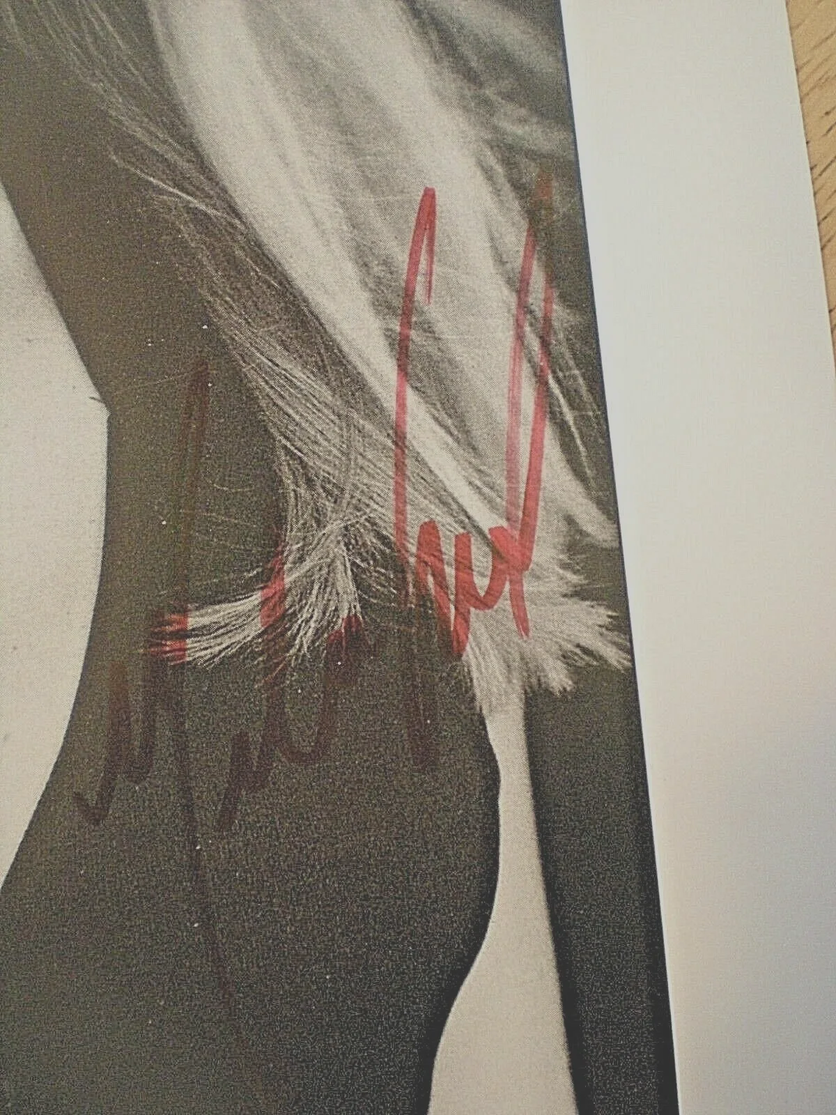 MELANIE GOOD — SIGNED PHOTO MELANIE GOOD CO-STARRED IN 'PRIVATE PARTS' --HOWARD STERN, изображение 3