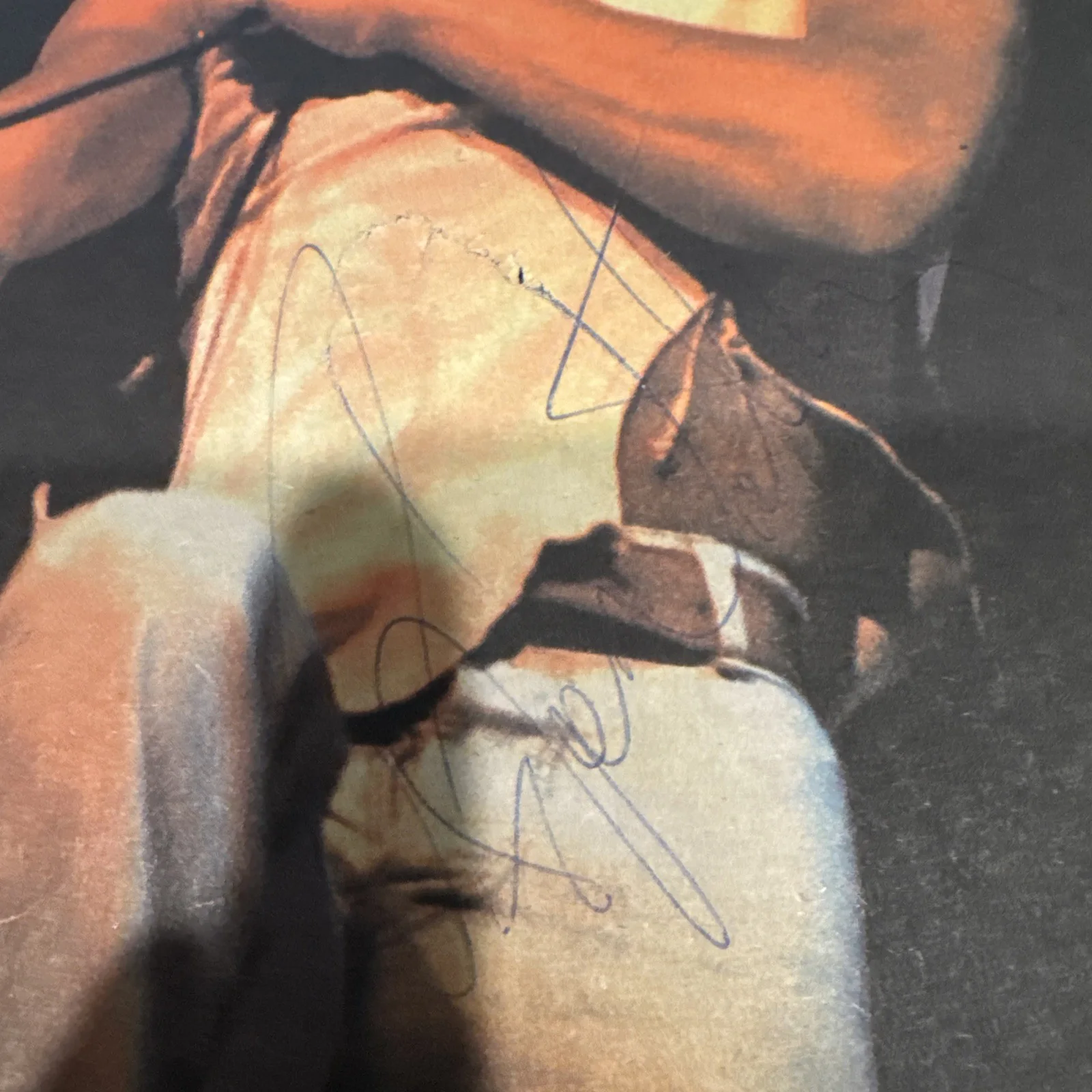 ROGER DALTREY SIGNED AUTOGRAPHED 8X10 PHOTO THE WHO JSA COA, изображение 3