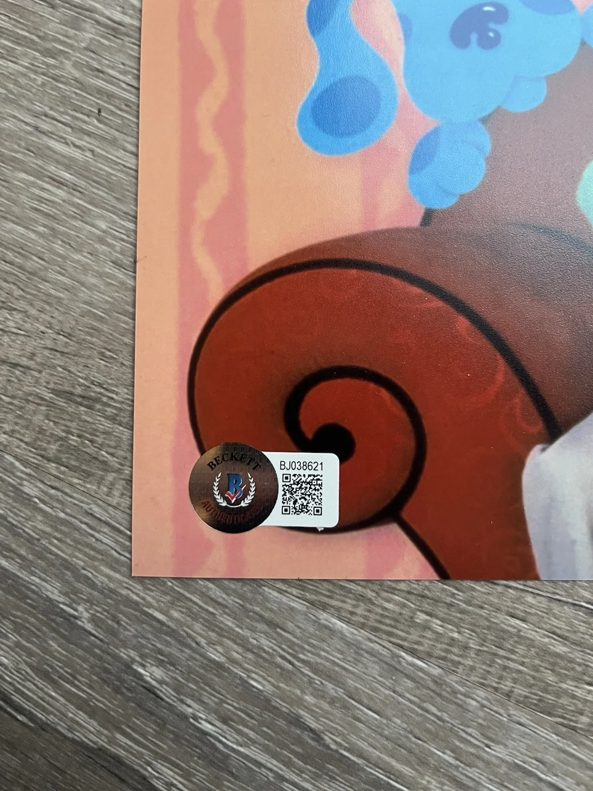 Steve Burns — Steve Burns Signed Blues Clues 8x10 Photo Beckett COA Nickelodeon, image 5