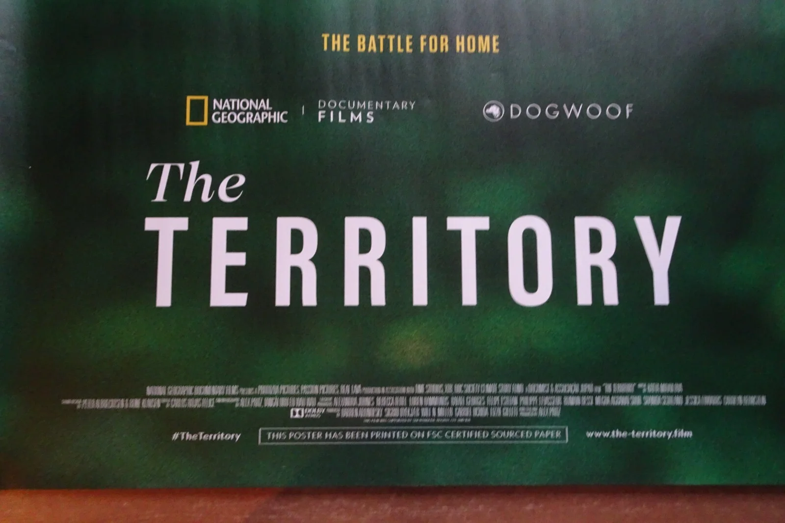 The Territory Quad Poster Original 2022 Documentary Neidinha Banderia Alex Pritz, image 3