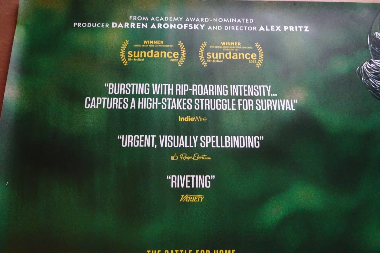 The Territory Quad Poster Original 2022 Documentary Neidinha Banderia Alex Pritz, image 4