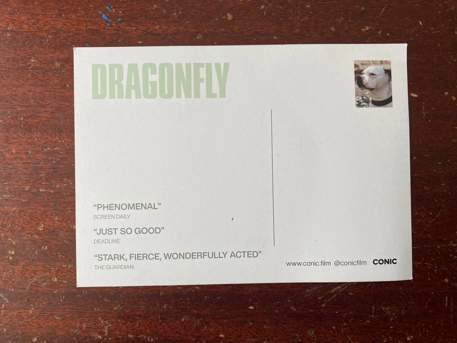 Dragonfly Film Postcard, image 2