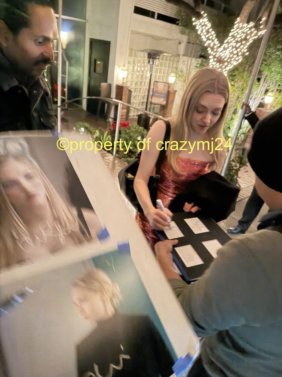 Amanda Seyfried Signed Mean Girls Karen The Housemaid Autograph Exact Proof, изображение 3