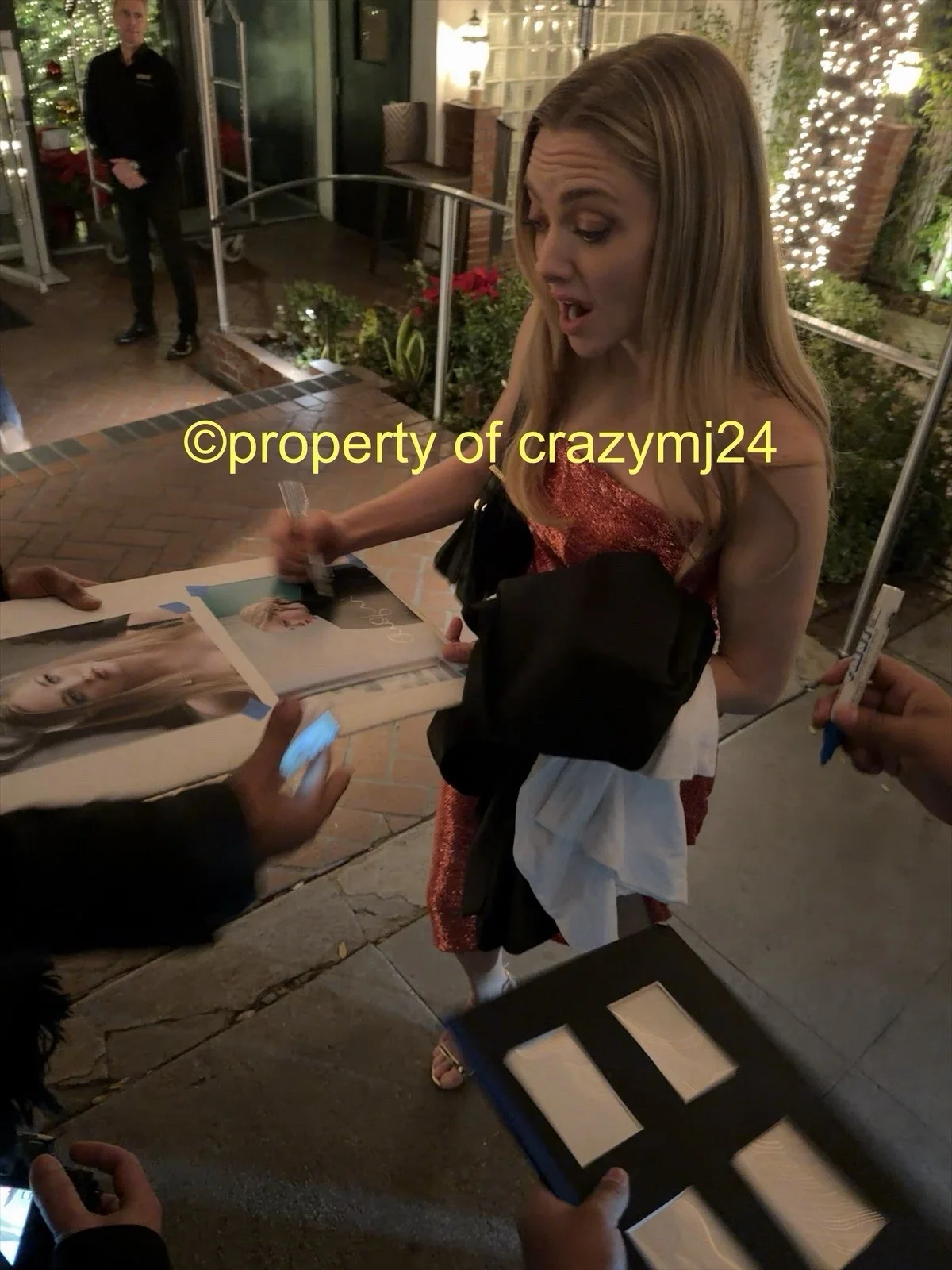 Amanda Seyfried Signed Mean Girls Karen The Housemaid Autograph Exact Proof, изображение 4
