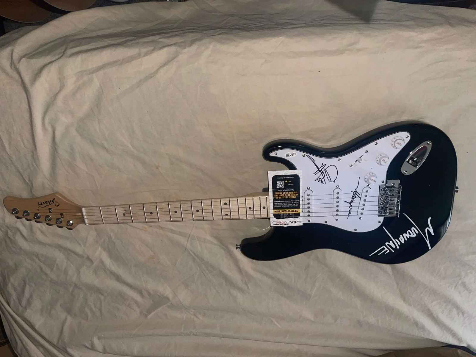 Chad Gray Mudvayne Hellyeah! Signed Electric Guitar Autographed JSA, image 3