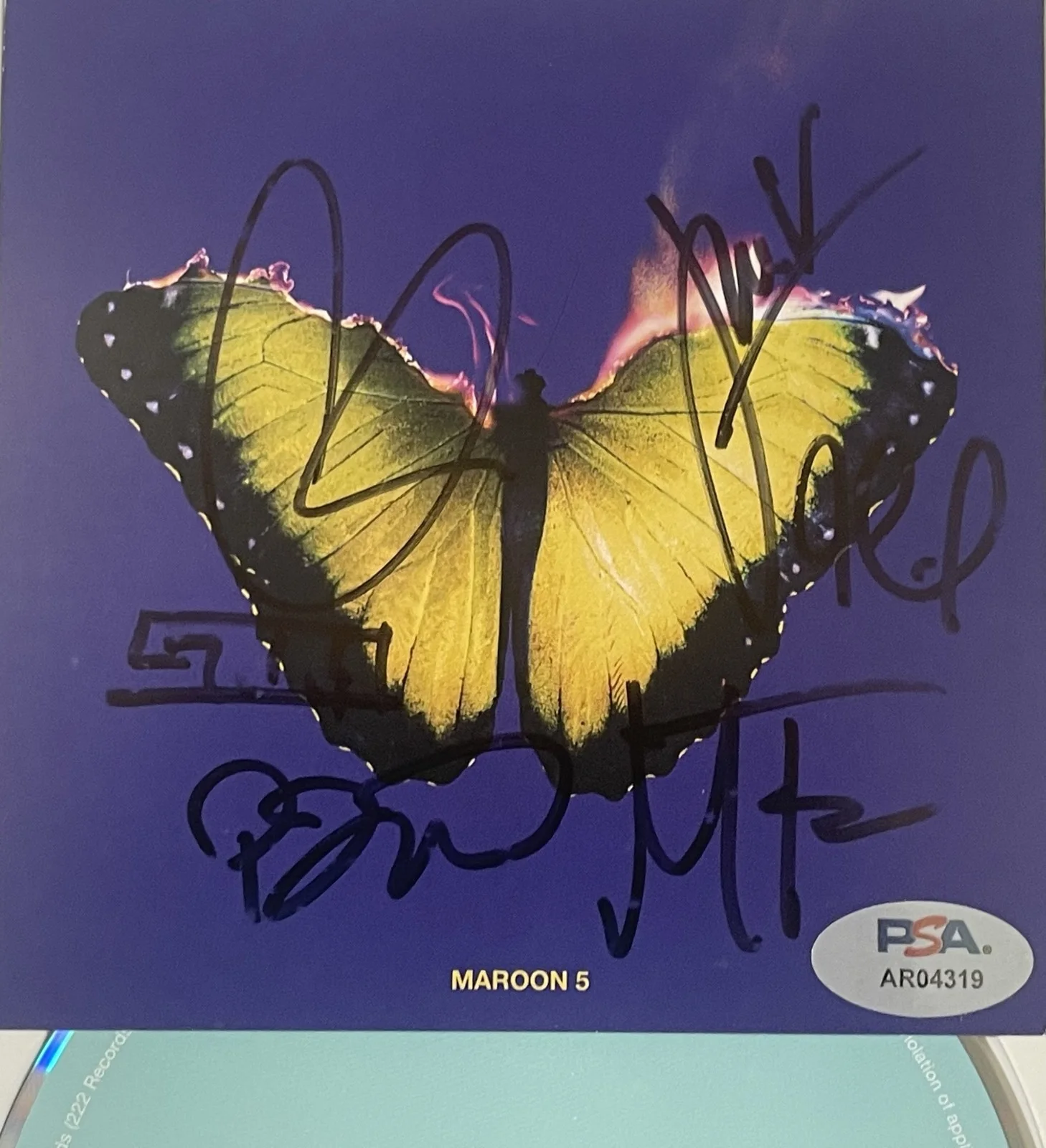 Maroon 5 - Signed CD Framed - Love Is - PSA COA LOA incl Adam Levine Autograph, изображение 3