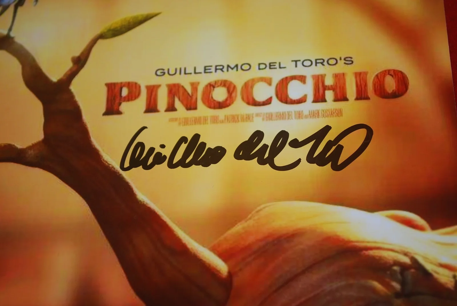 Guillermo Del Toro — Director Guillermo Del Toro Pinocchio Signed 8X10 Photo Beckett COA BV81331, изображение 2