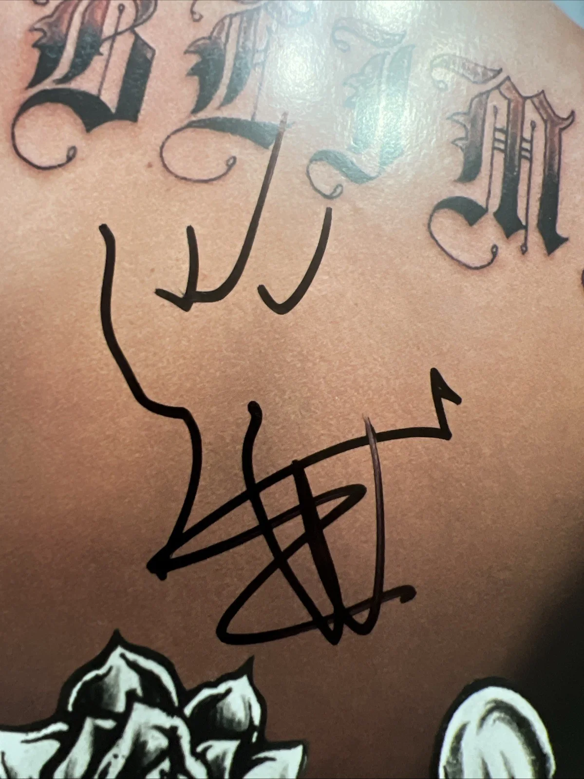 Eric Wilson Signed Sublime Vinyl Record LP JSA Coa Autographed, image 2