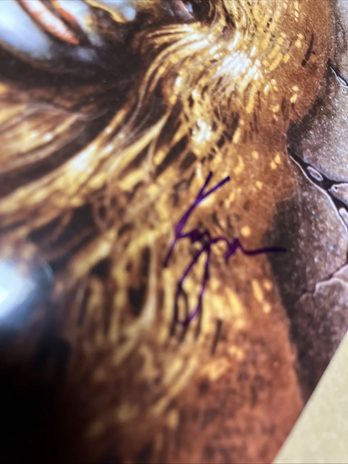 Kyra Schon — AUTHENTIC NIGHT OF THE LIVING DEAD SIGNED AUTOGRAPH KYRA 8x10 COLOR PHOTO SCHON, изображение 4