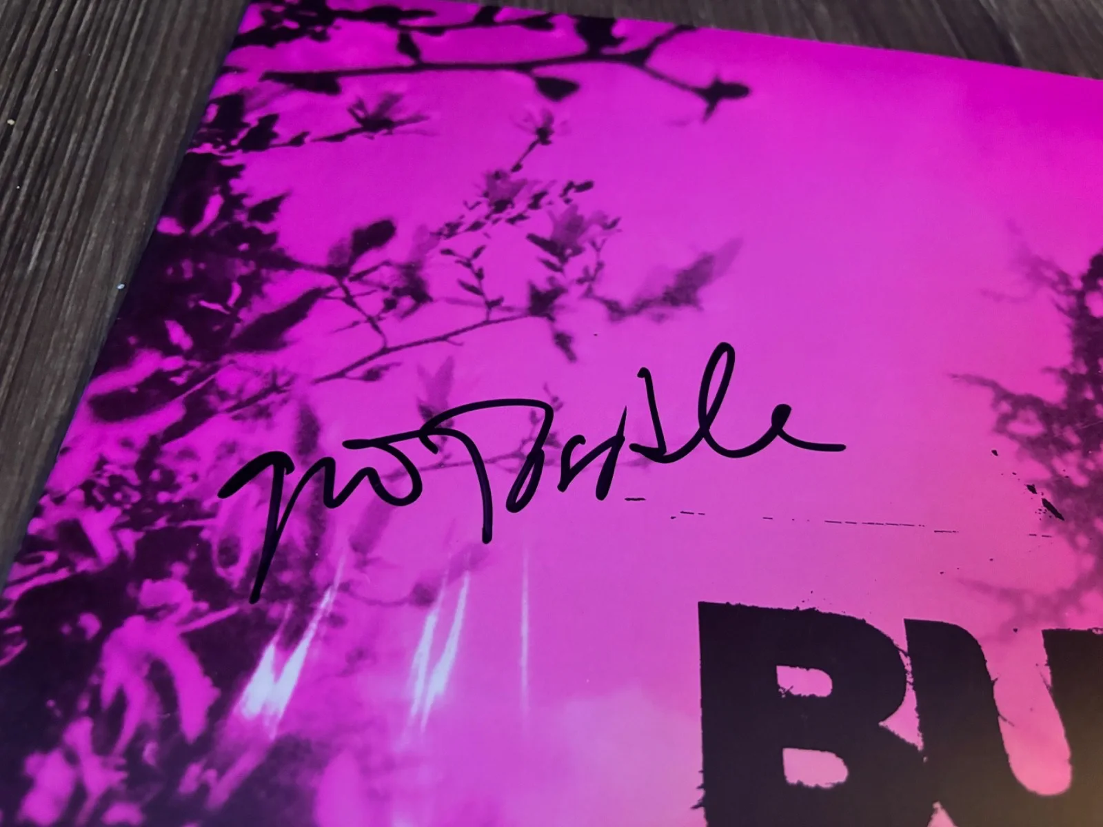 GAVIN ROSSDALE SIGNED AUTOGRAPHED BUSH 12X12 ALBUM INSERT BOOK RARE HITS (2), image 2