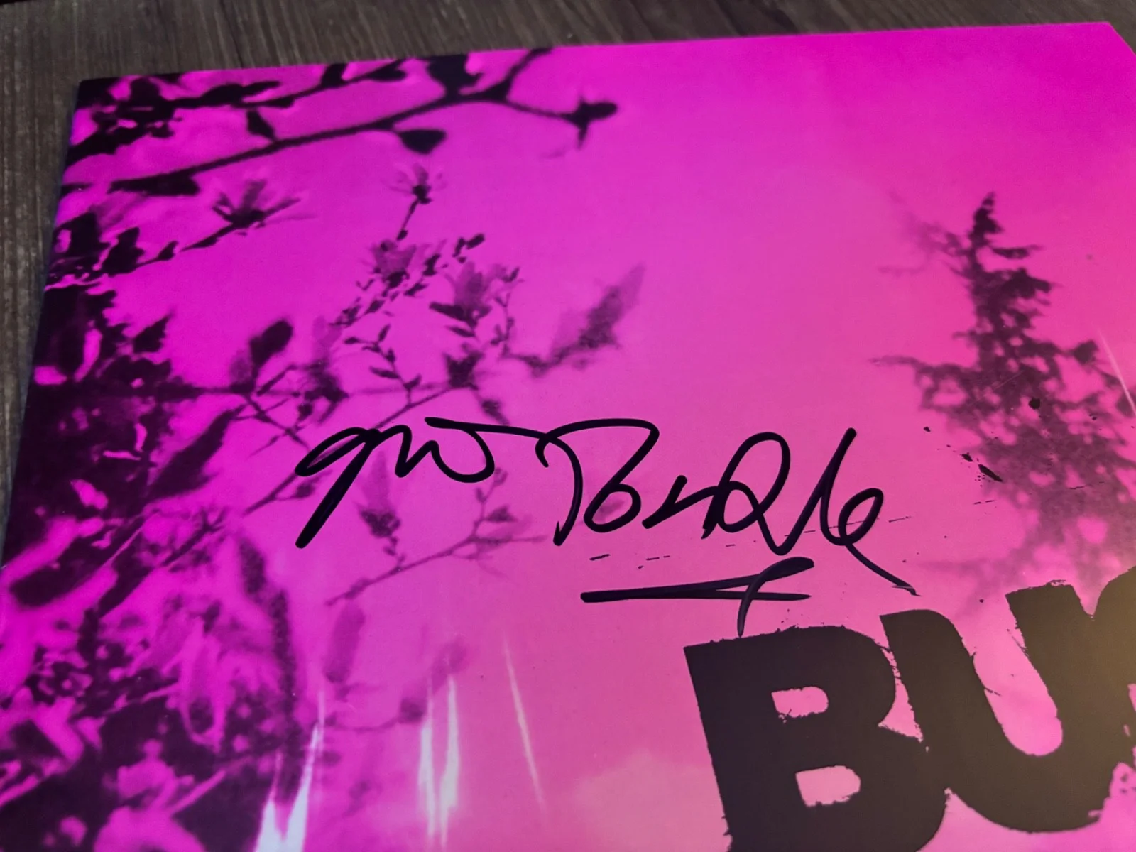 GAVIN ROSSDALE SIGNED AUTOGRAPHED BUSH 12X12 ALBUM INSERT BOOK RARE HITS, image 2